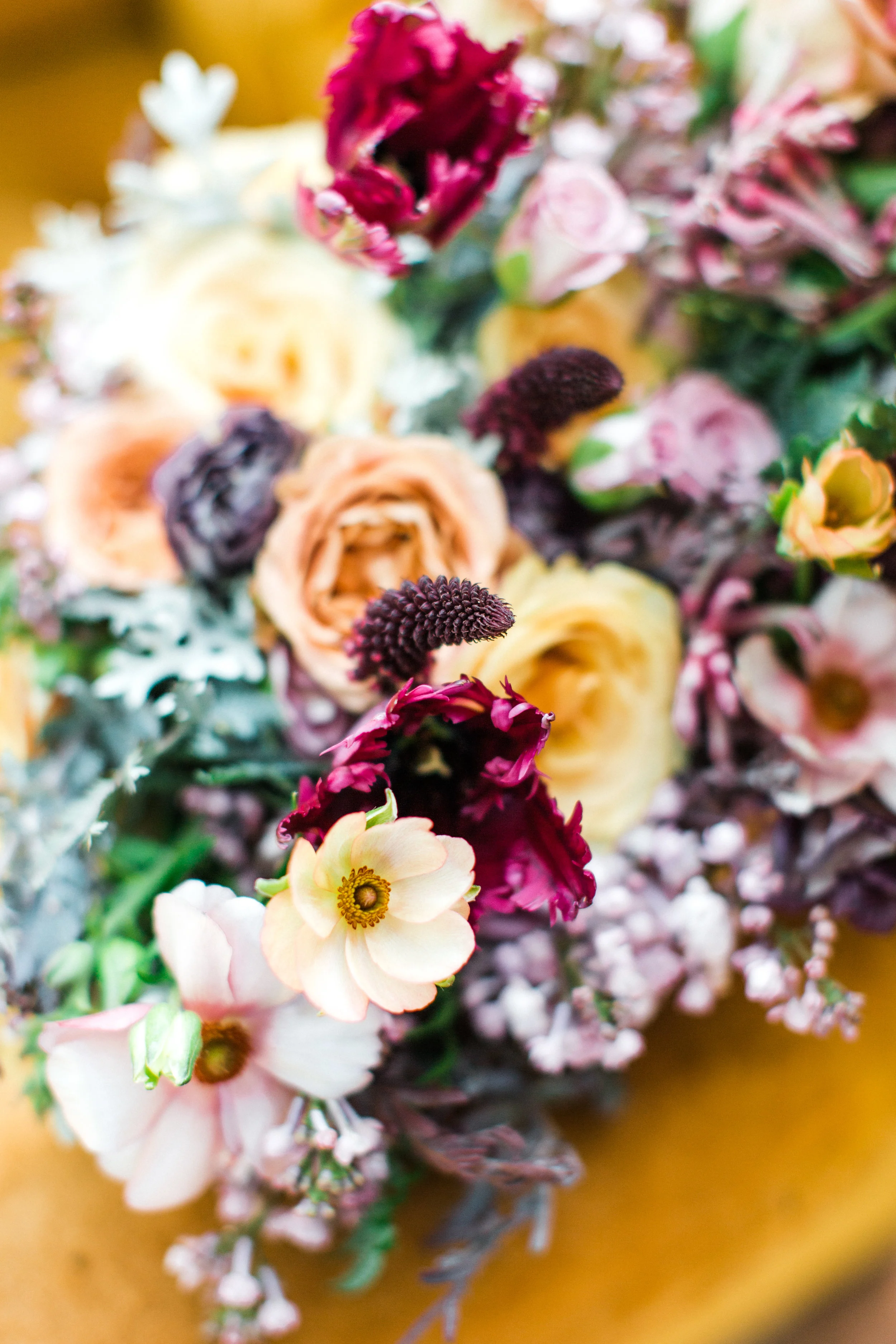 Anna Dolores Photography