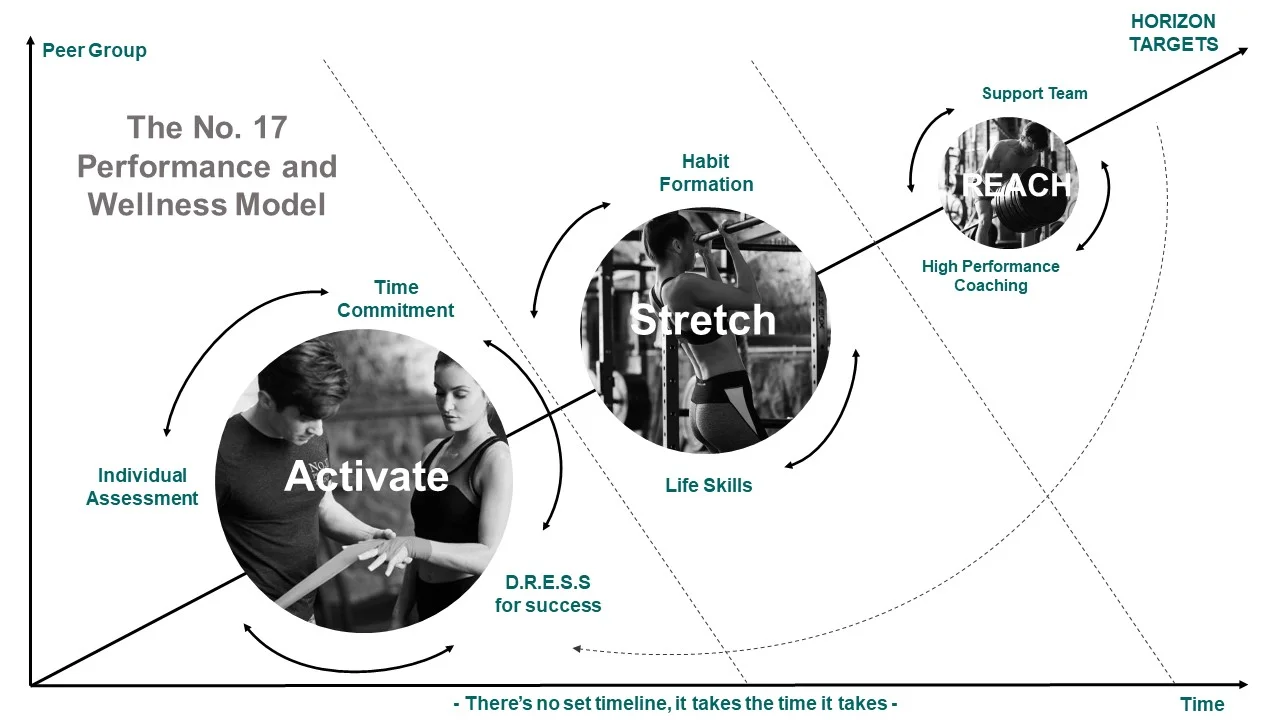 Performance and Wellness Model v2.jpg
