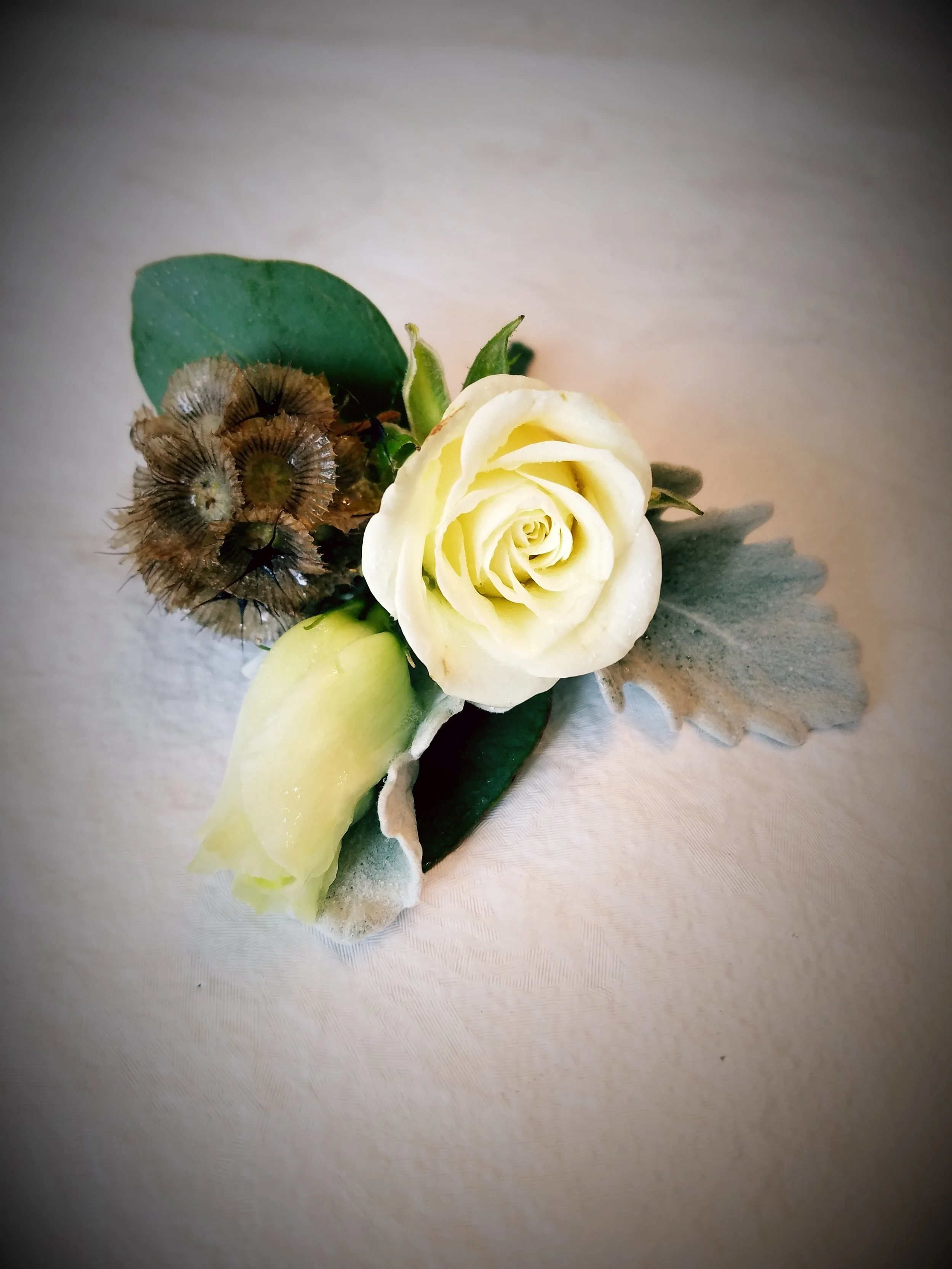 20180406_105555.jpg
