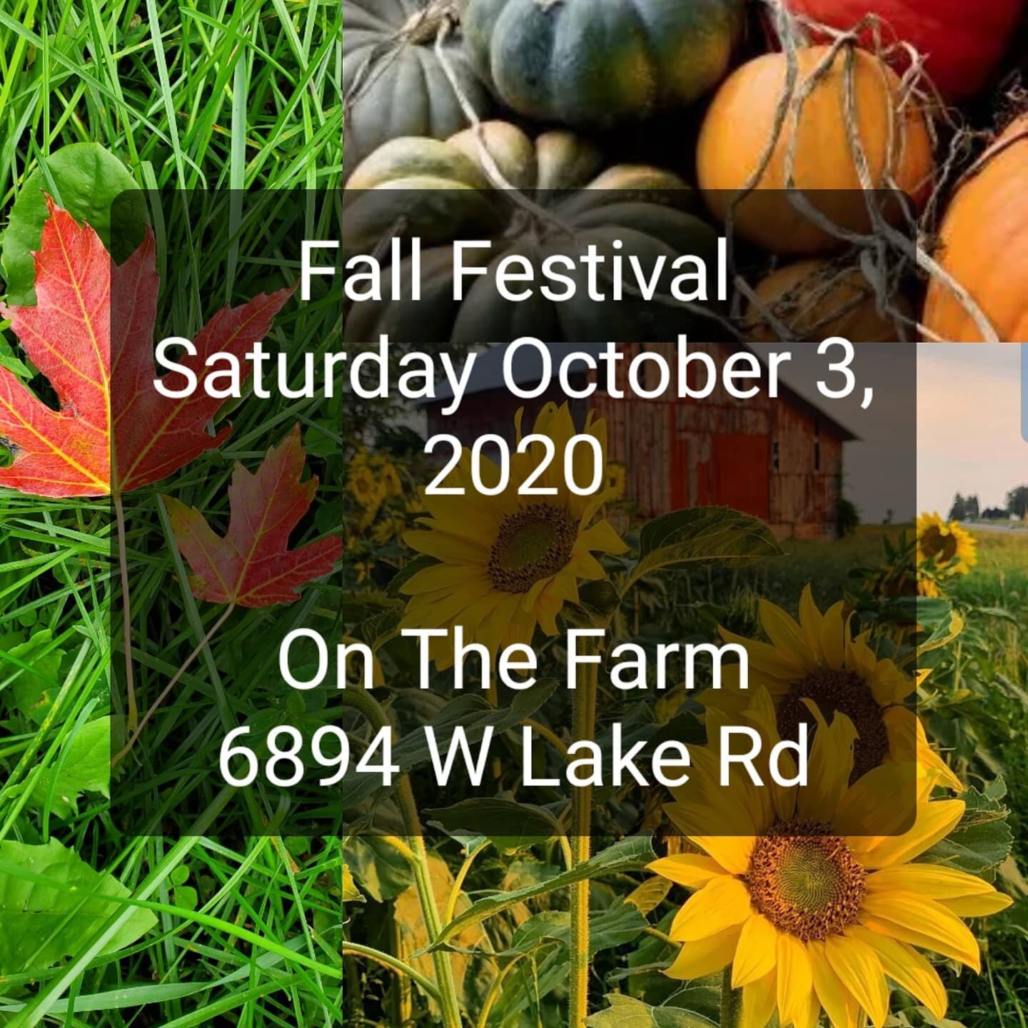 So excited to host the very first On The Farm Fall Festival. Stop on by and enjoy vendors with art, hand crafted items, jewelry, home decor, antiques, baked good, coffee and local maple syrup.  Spend the day and help us grow this event to a yearly an