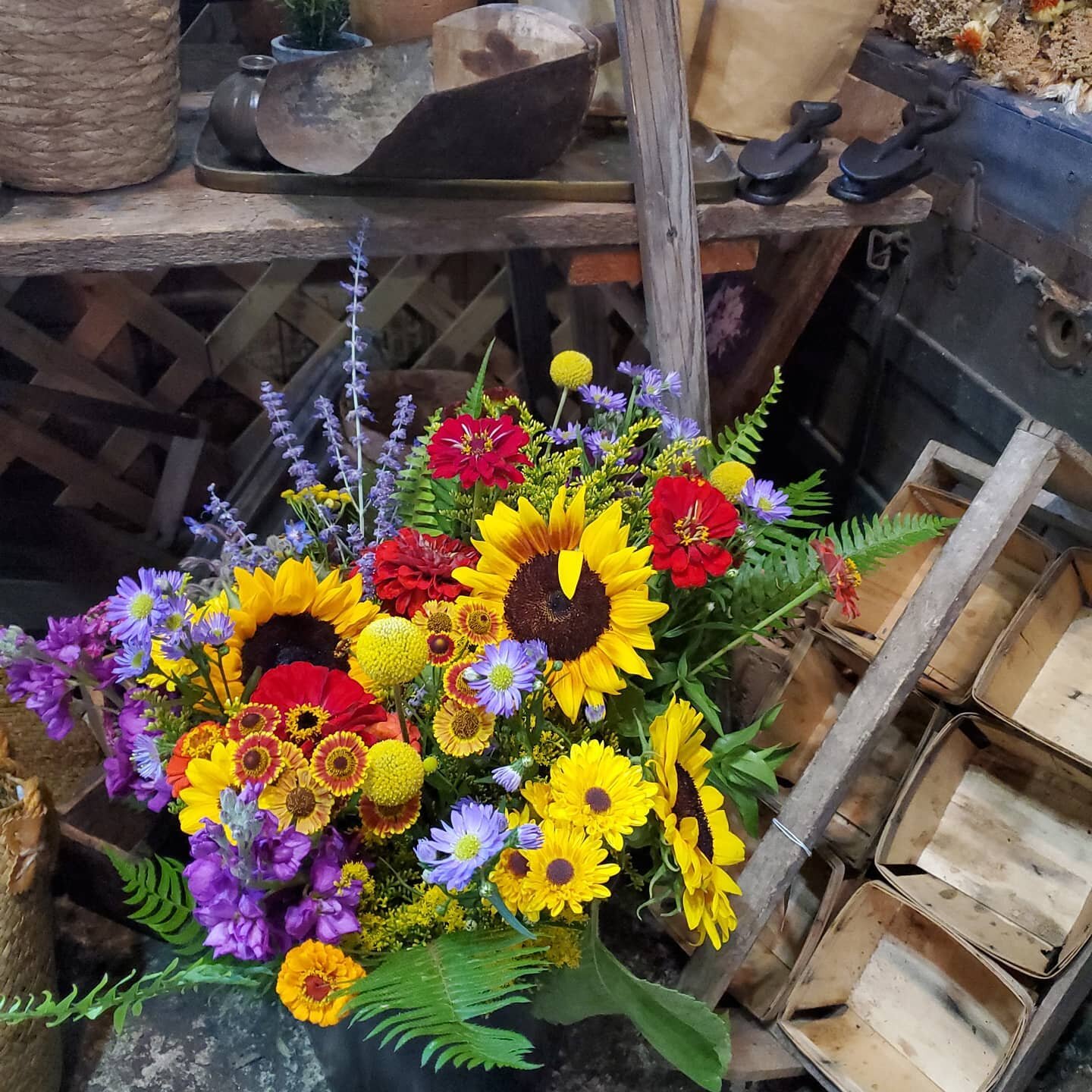 It's the middle of August, the days are getting shorter and the bouquet colors are starting to look like Fall. #beautifulblooms, #flowerfarmer, #midsummer, #beautifulbounty, #autumnthinking