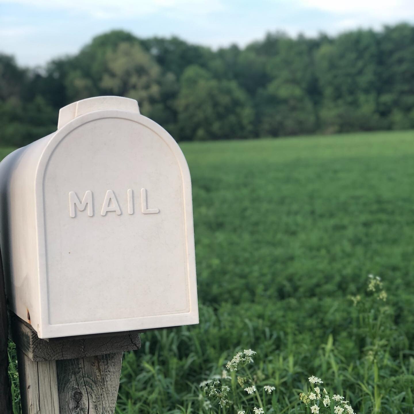 Let's be virtual pen pals! 

We're going to continue to share our articles here on Instagram. But (starting soon) we'll also be sending out a monthly newsletter. So, if you want all the latest from naturally LOVED, plus a few extra goodies, delivered