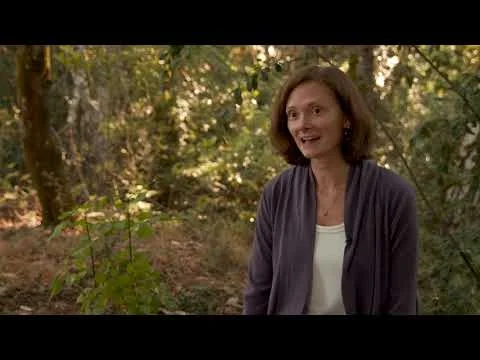 How We Do Sustainability at Mountain Rose Herbs