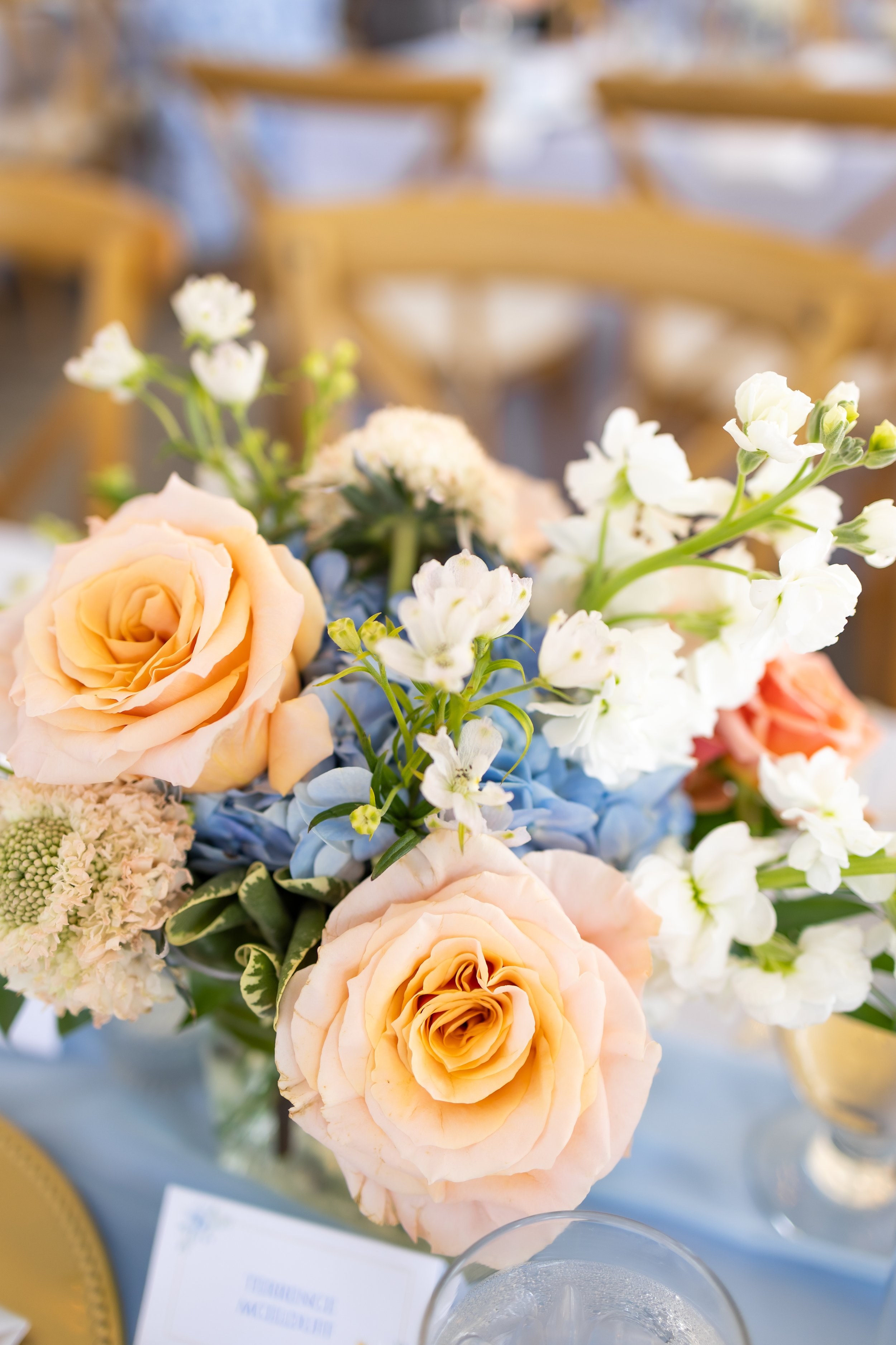 Taylor and Larry-783.jpg