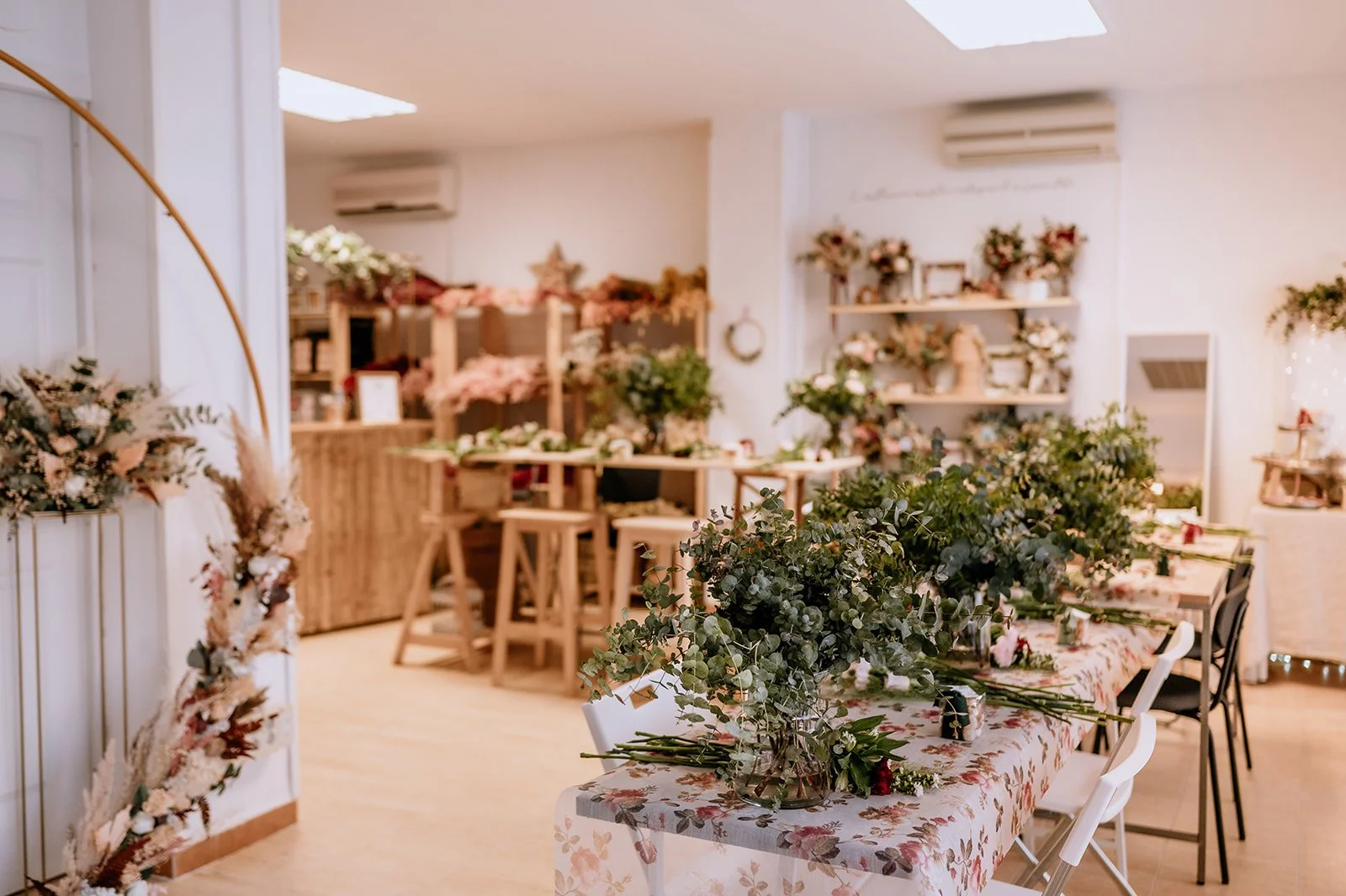 plan creativo Madrid