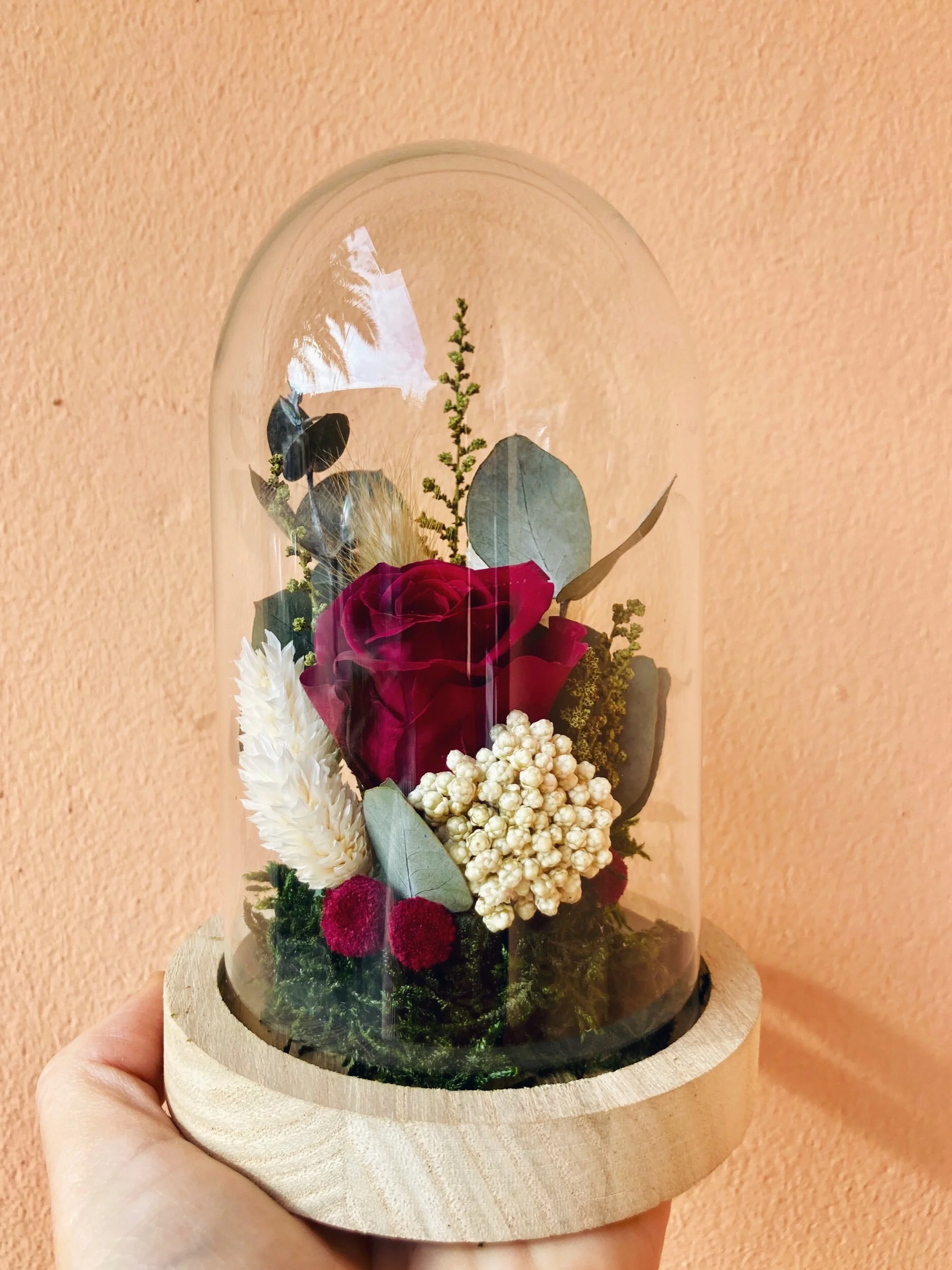 cupula rosa preservada