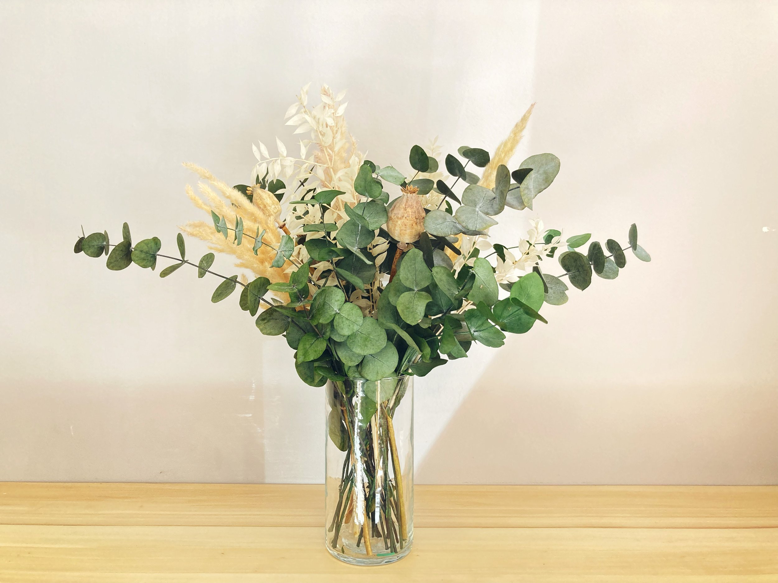 eucalipto preservado