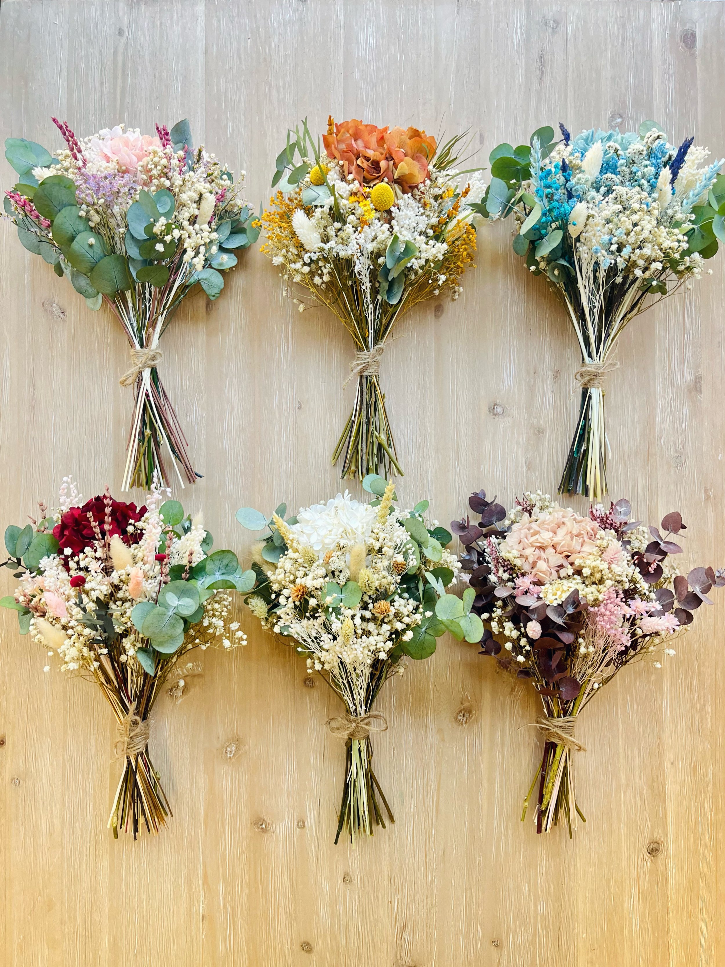 plan creativo Madrid