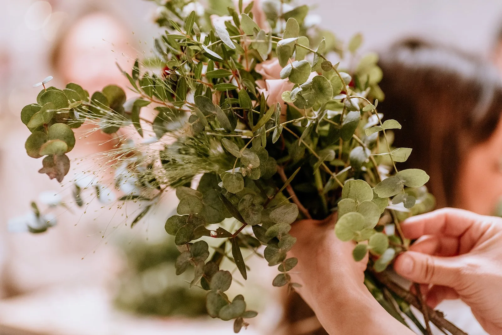 plan creativo Madrid