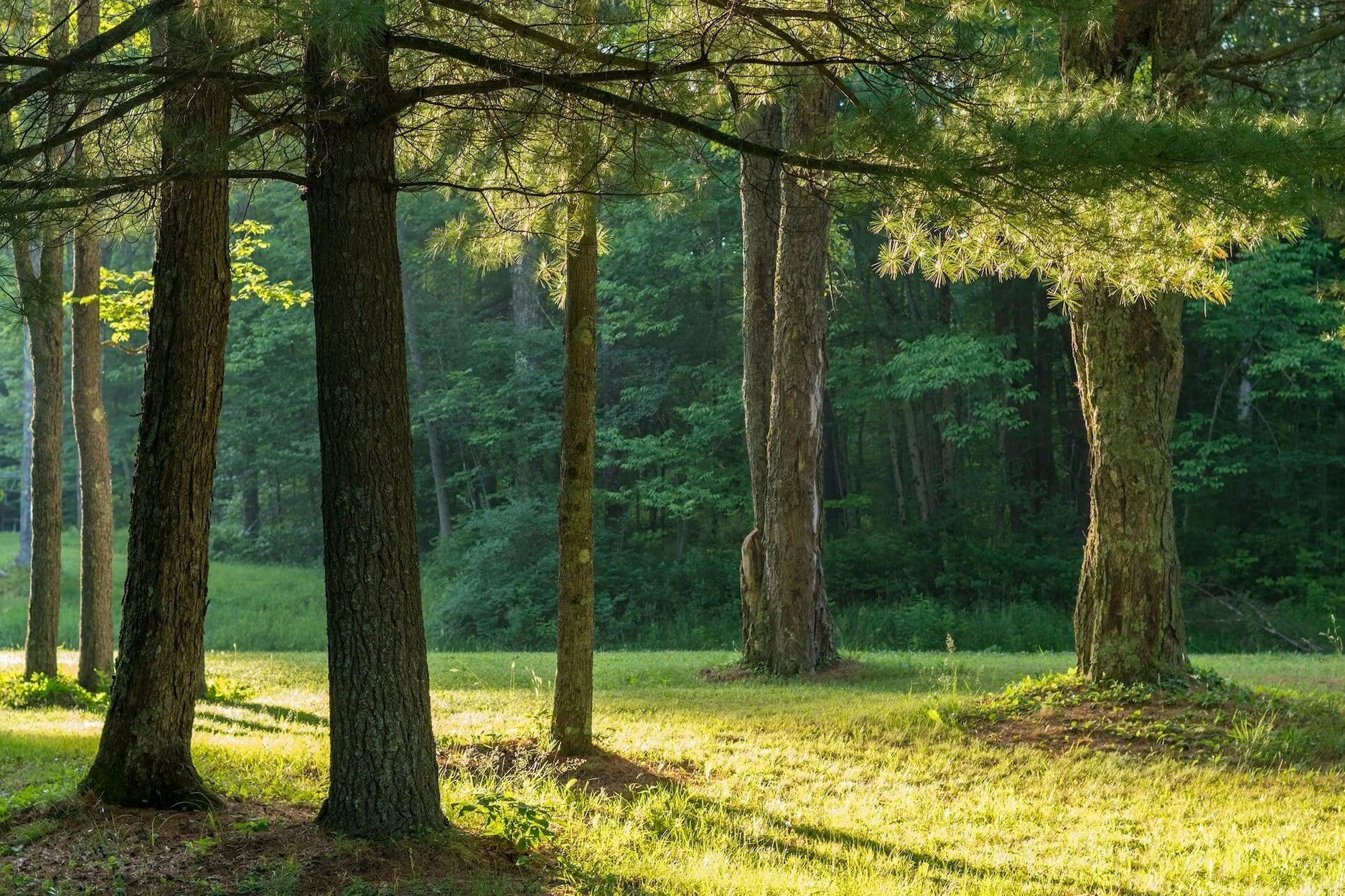 Best New York Writers Conferences