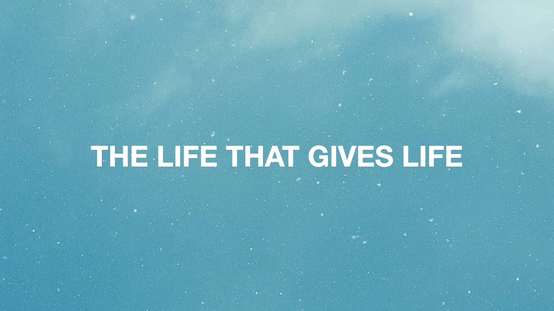 The Life That Gives Life