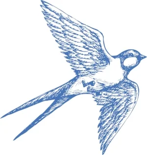 Swallow_Blue_WEB.jpg