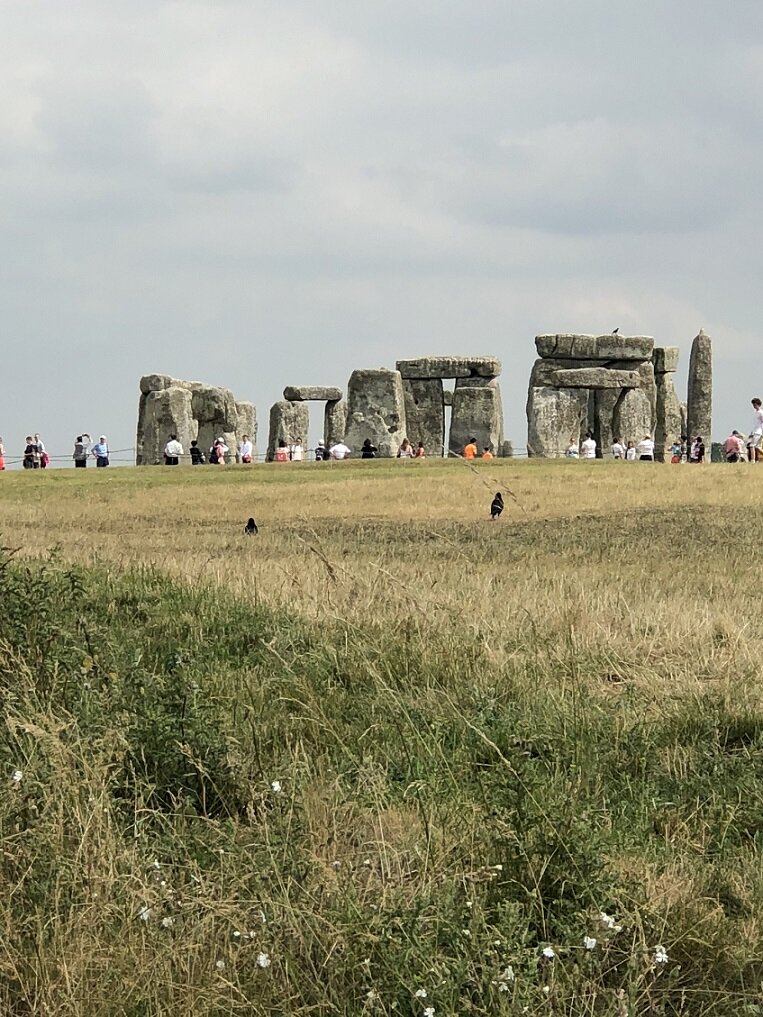 Ravens viewing Stonehenge (photo: Jim Blackburn)