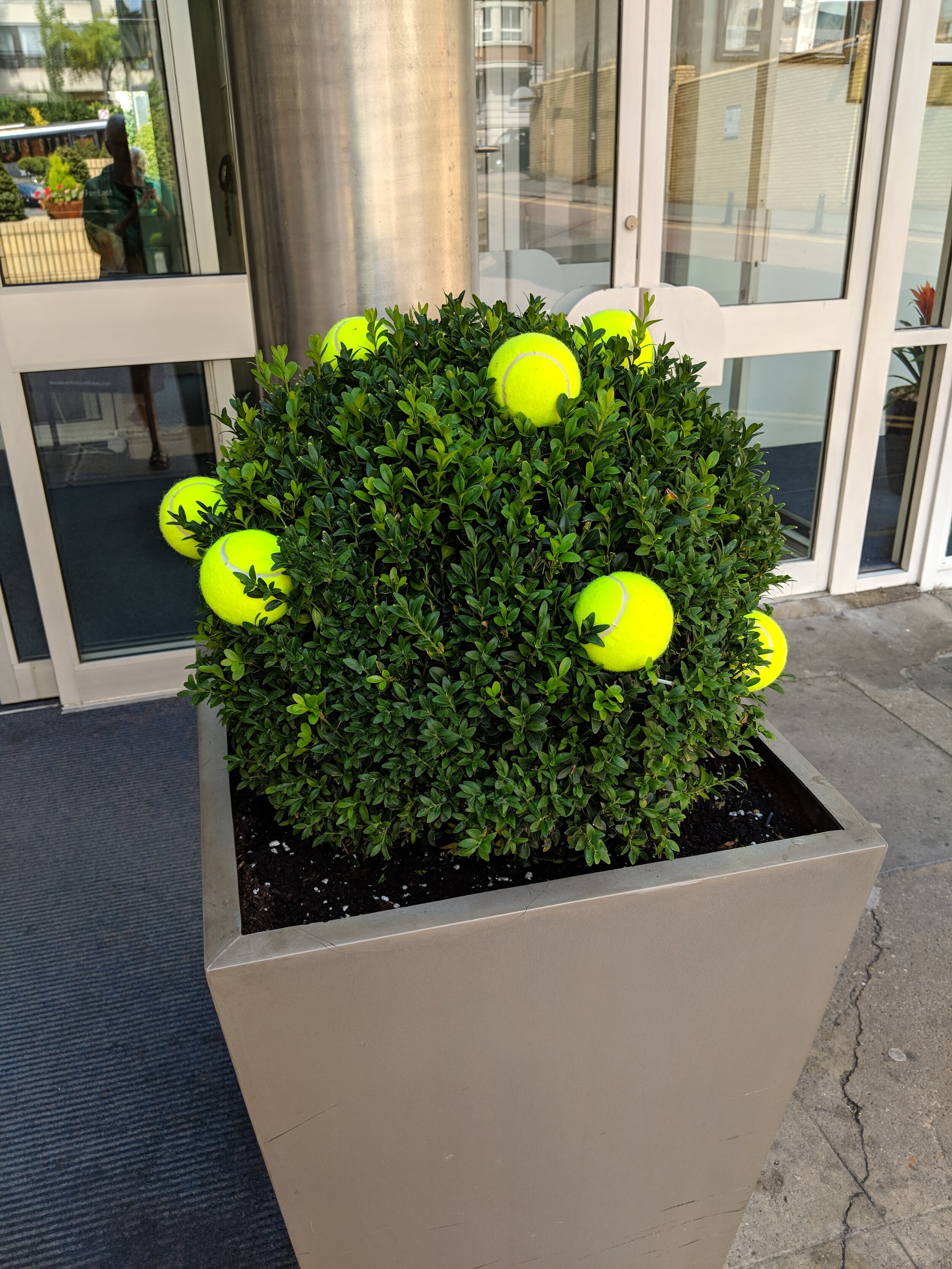 Celebrating Wimbledon (photo: Joyce Korvick)