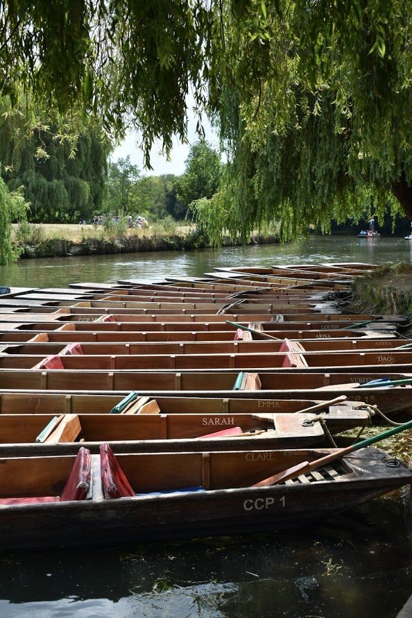 Cambridge (photo: Rachel Tester)