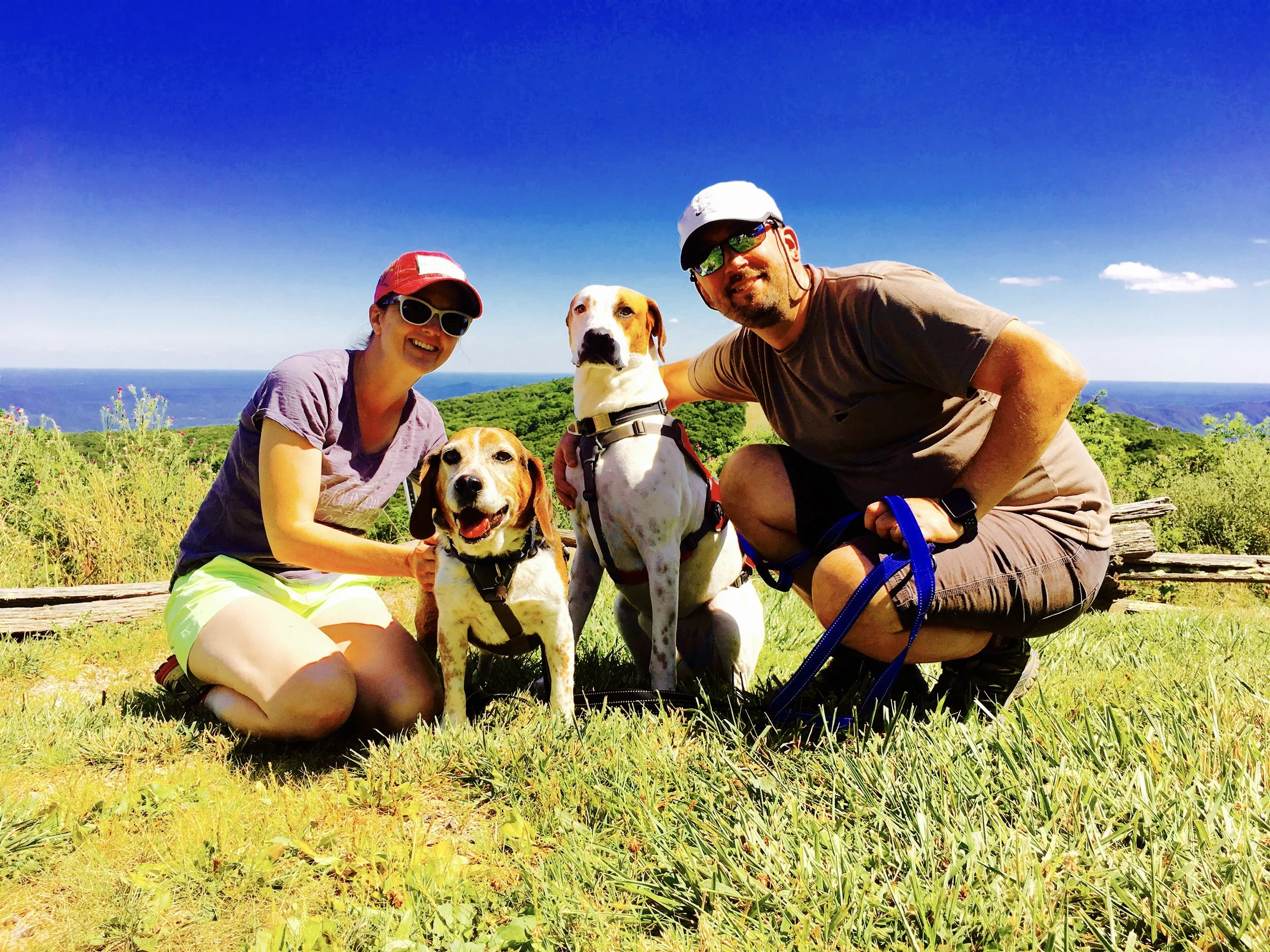 Erin-Drew-dogs2.jpeg