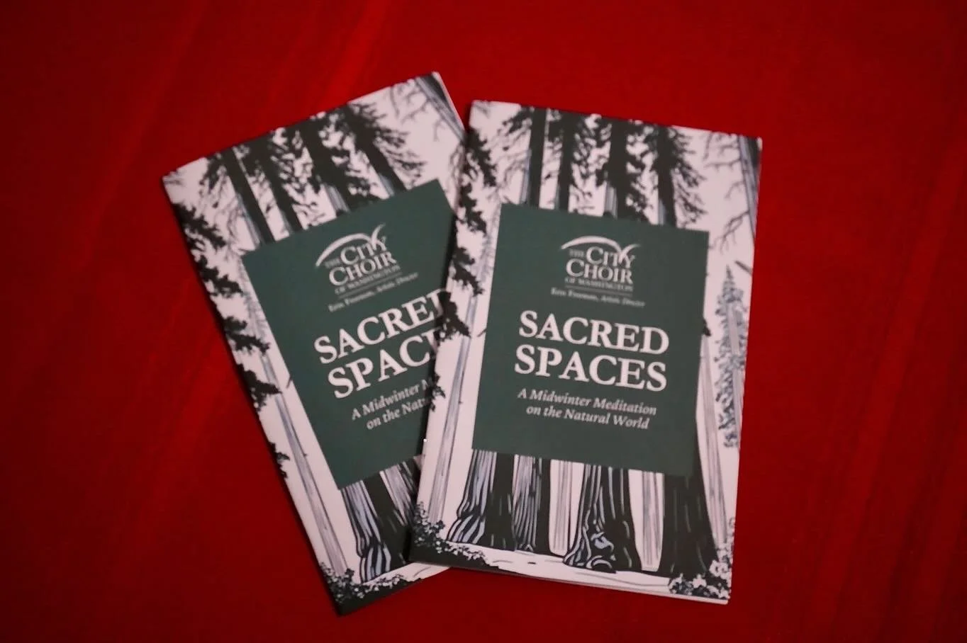 A few weeks ago, our Sacred Spaces concert came together in a way we won&rsquo;t forget.

When winter weather forced a last-minute change, our audience showed up anyway. You adjusted plans, made the effort, and filled the space with warmth and care.
