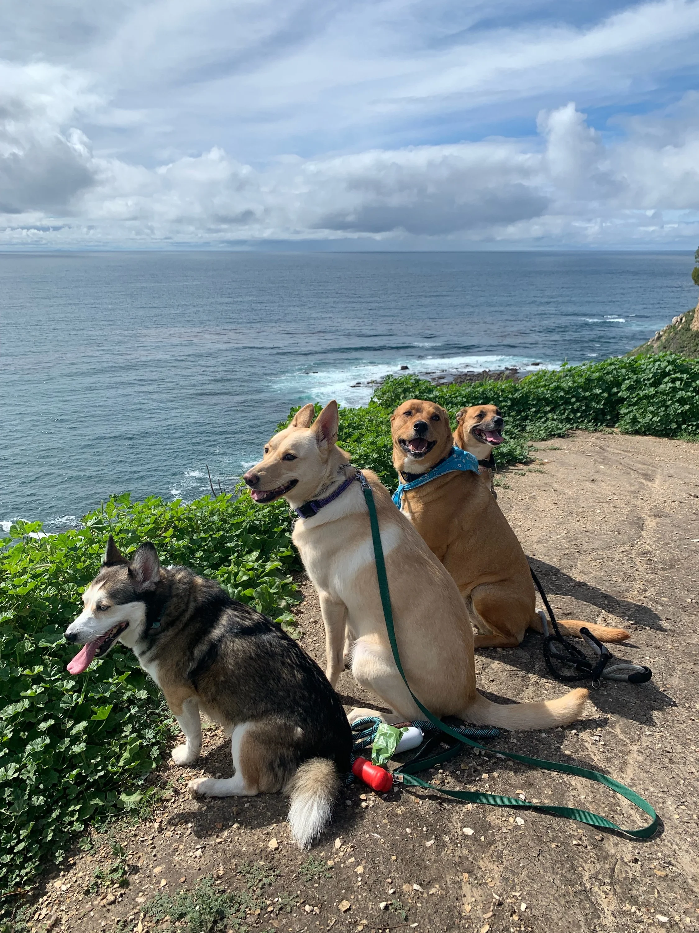 Some of our favorite team members.