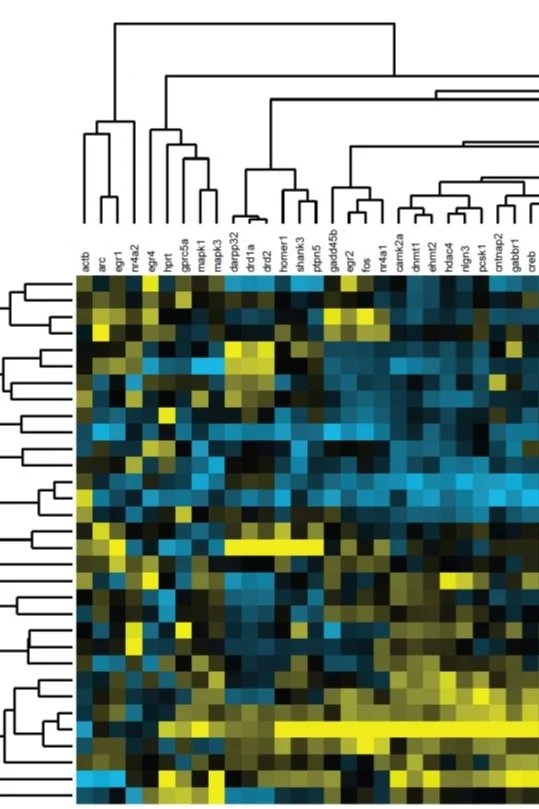 b6_amy+heat+map.jpg