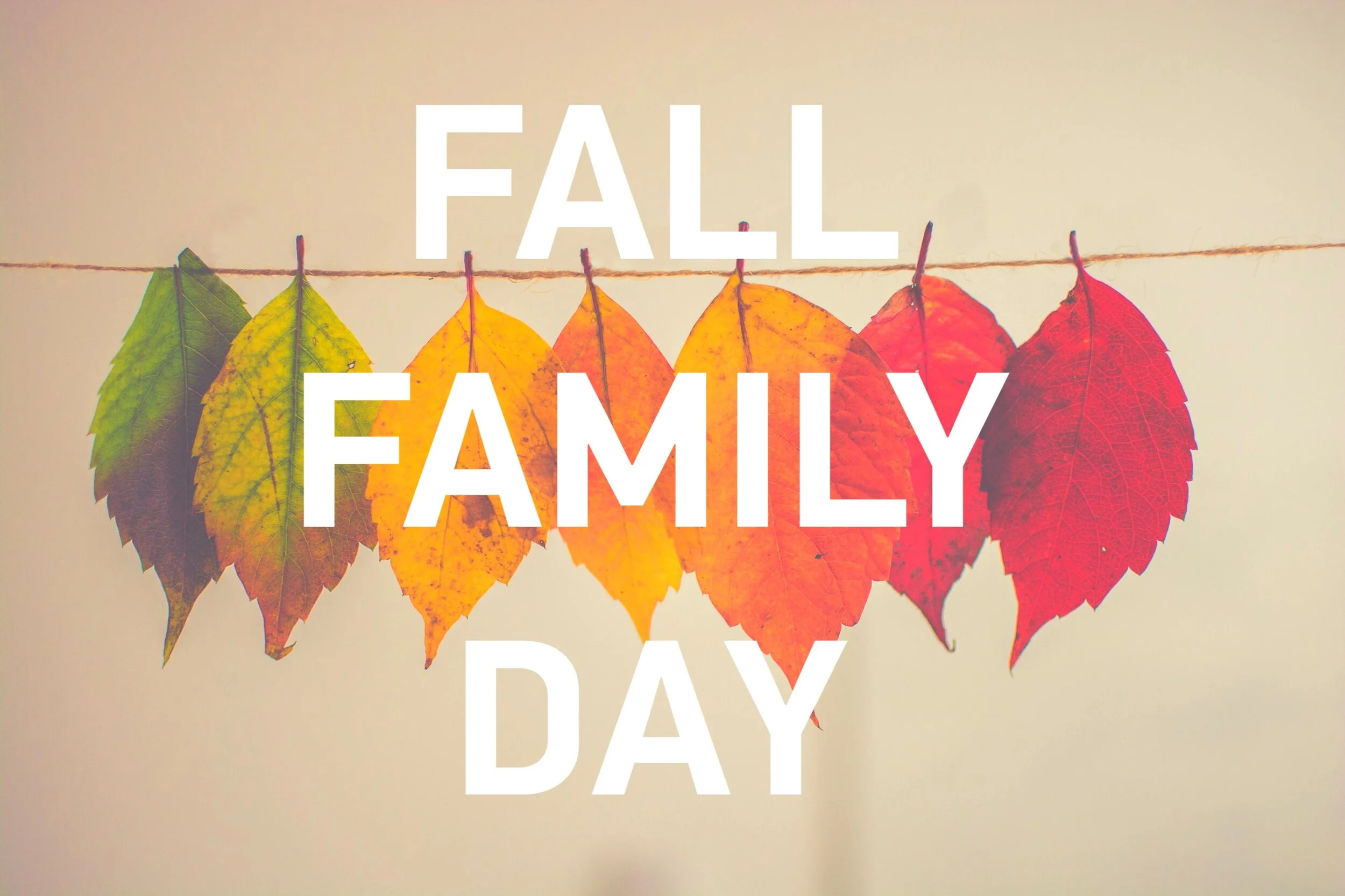 25-Fall-Background-Ideas-Examples-Inspiration7.jpeg