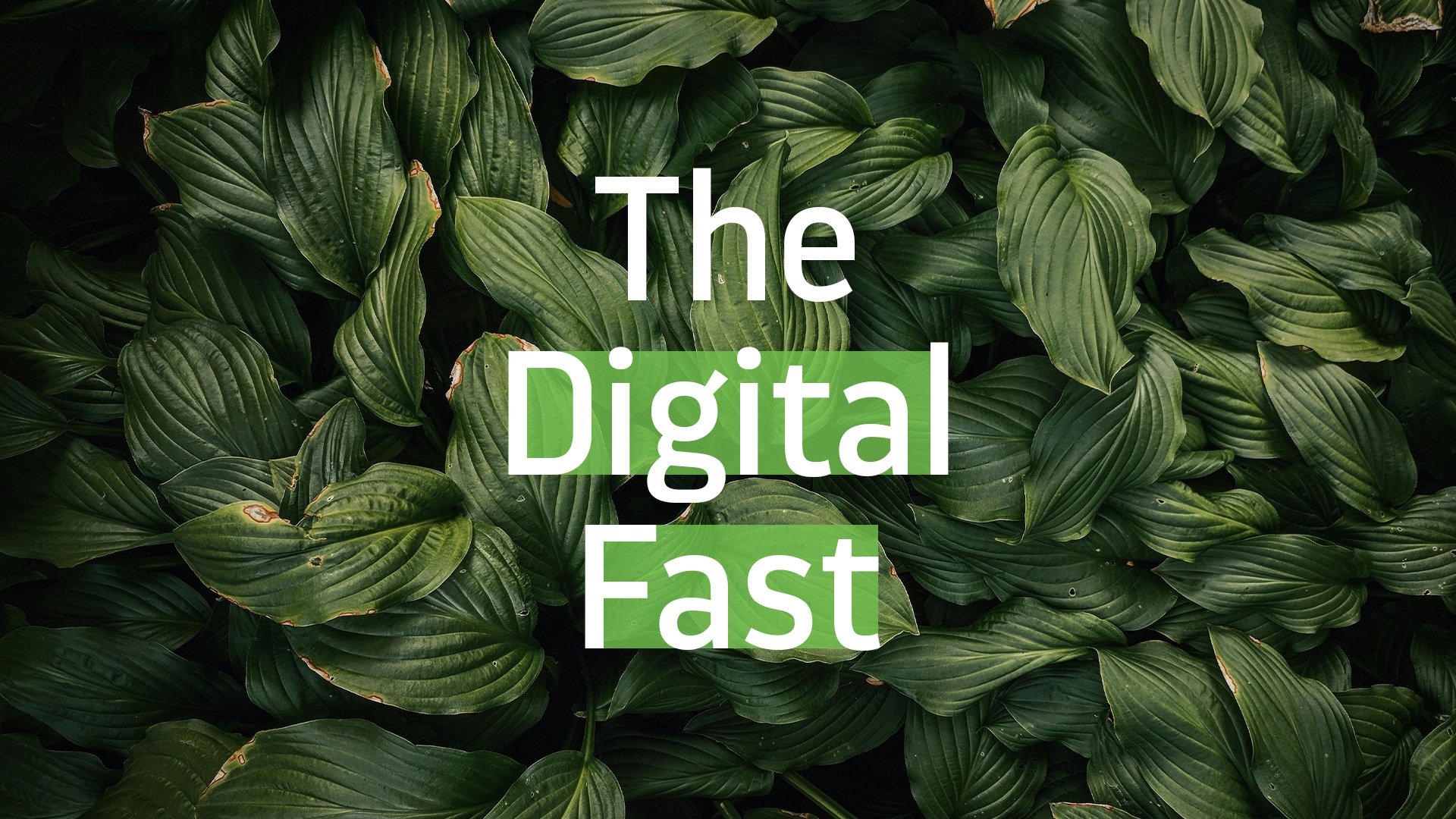 The Digital Fast - Delight