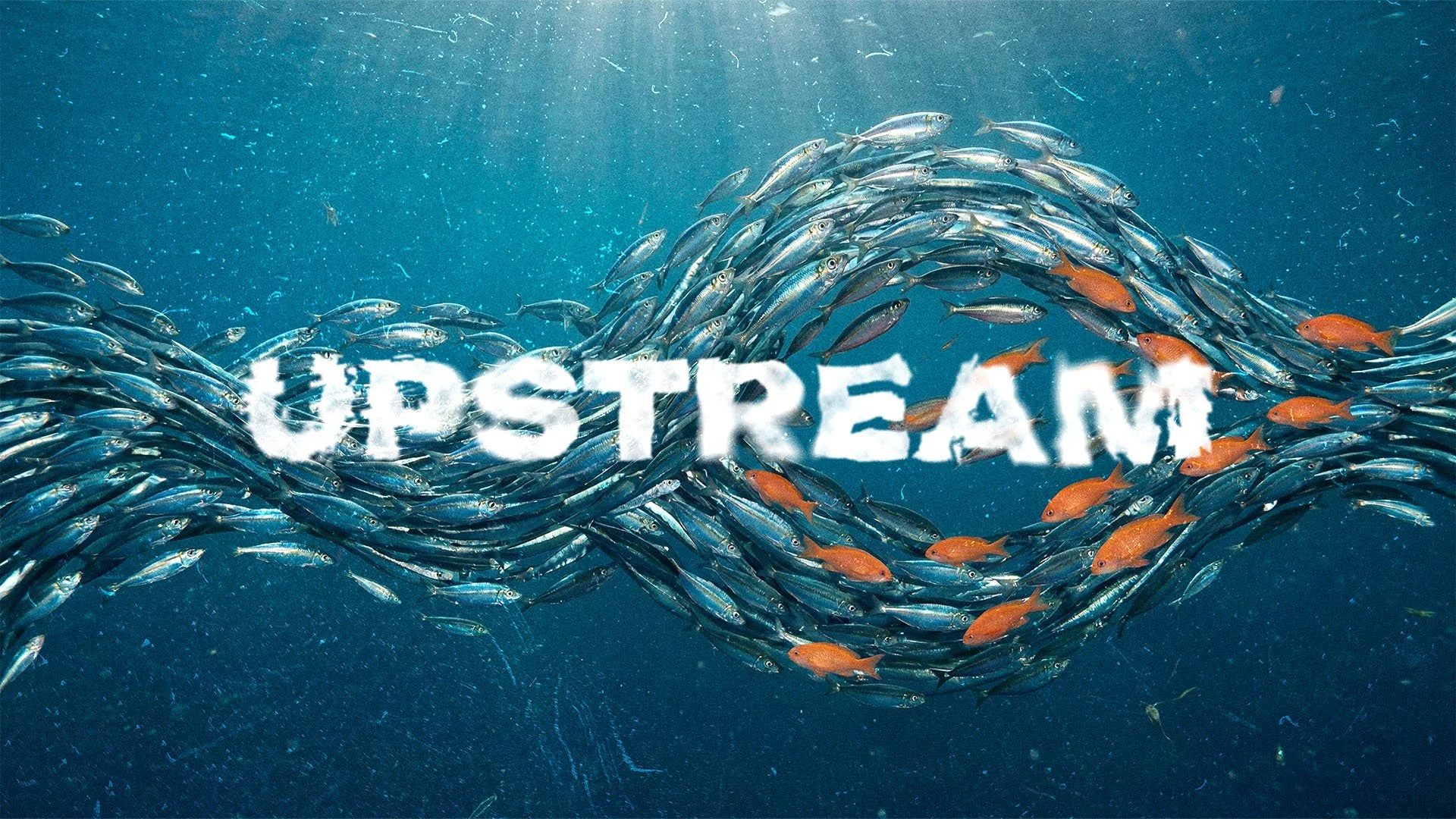 Upstream
