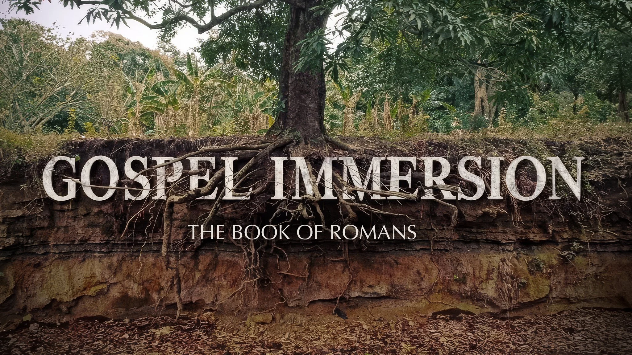 Roman's Review