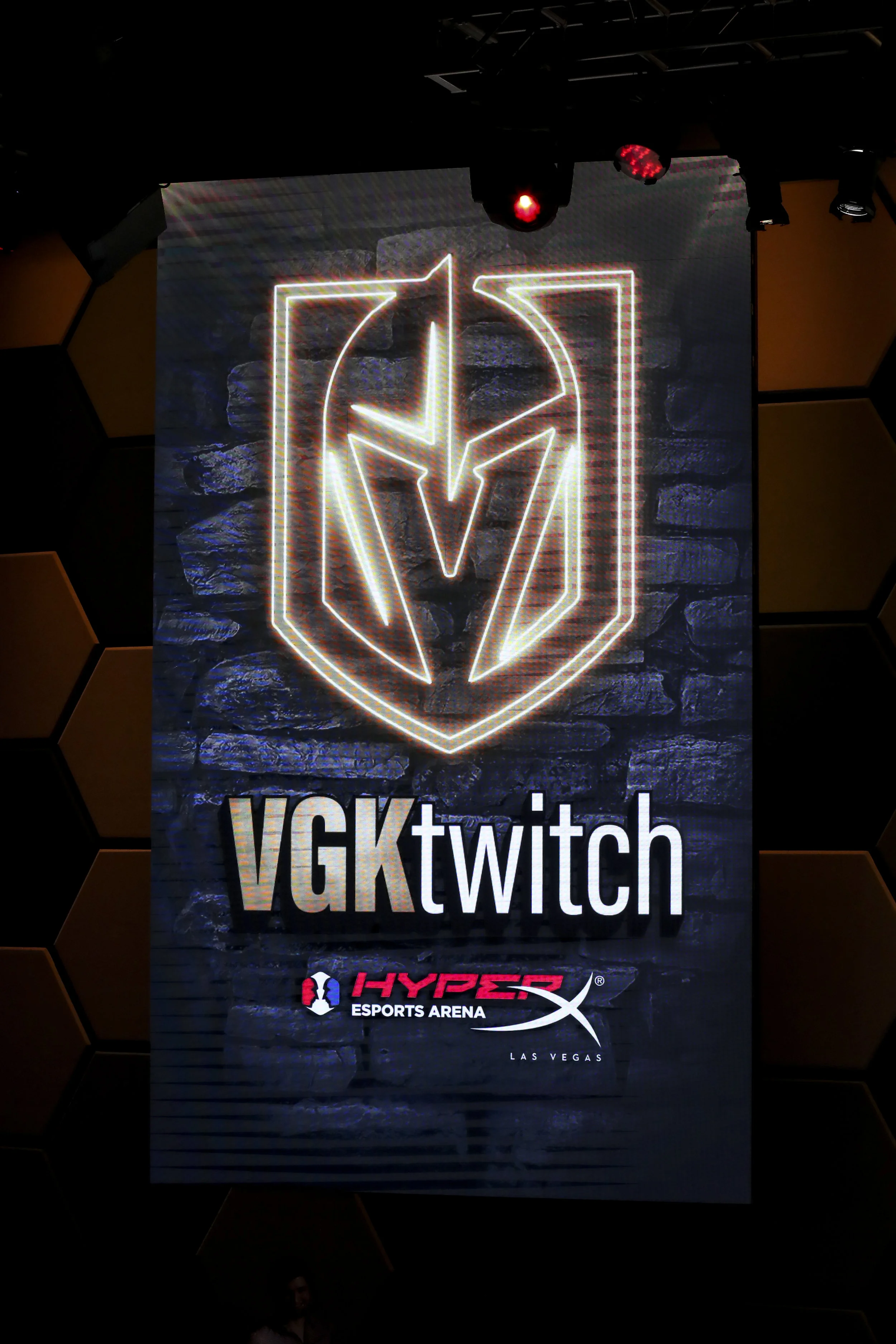 VGK Players Show Off Fortnite Skills