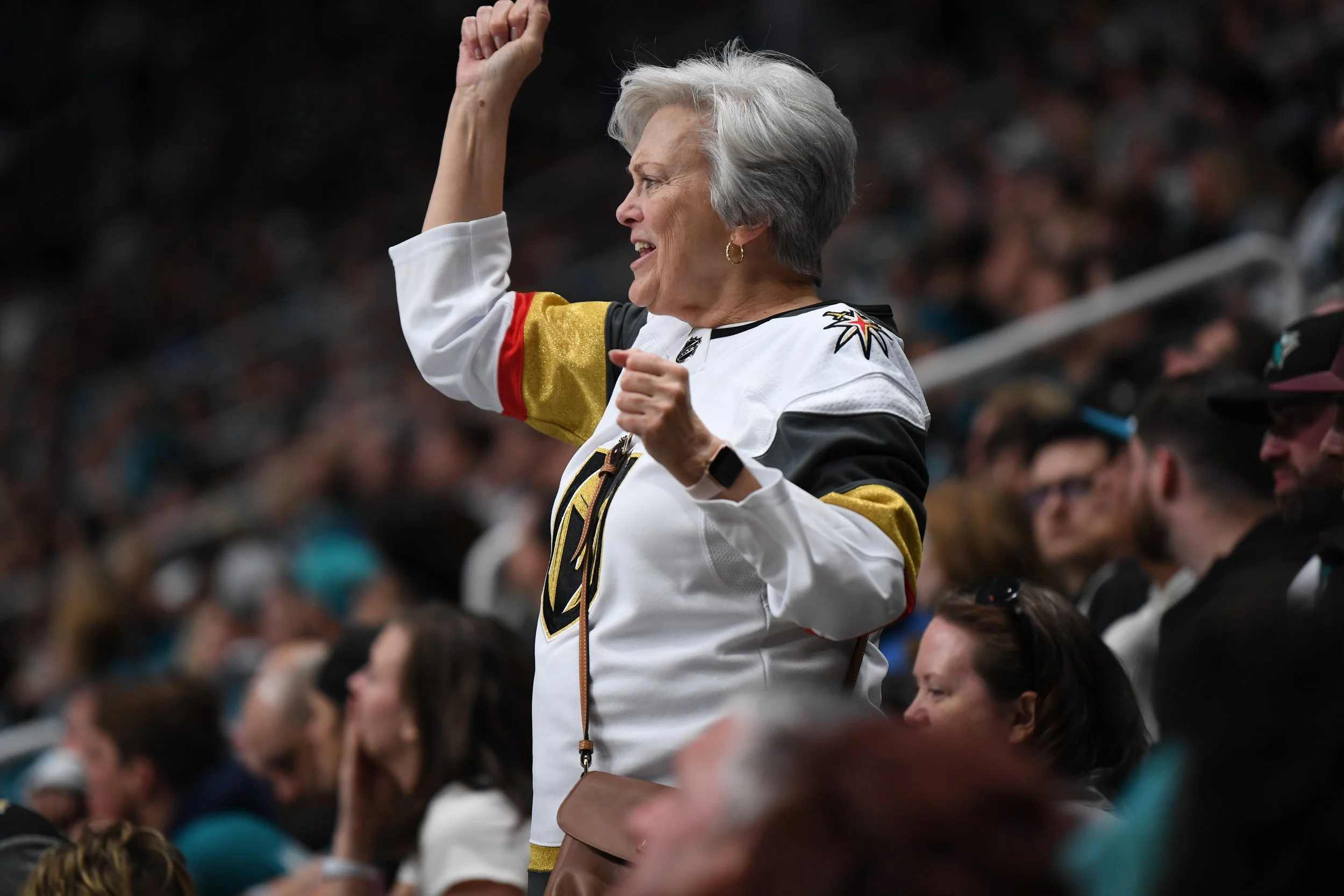 VGK Fans at Game Two