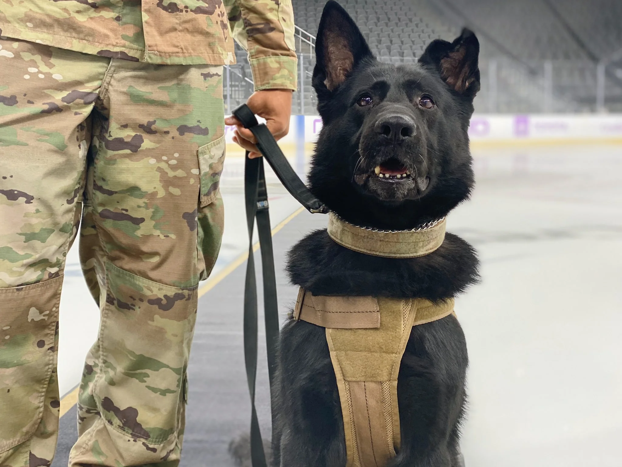 Kalo Drops The Puck On Military Appreciation Knight 🐶