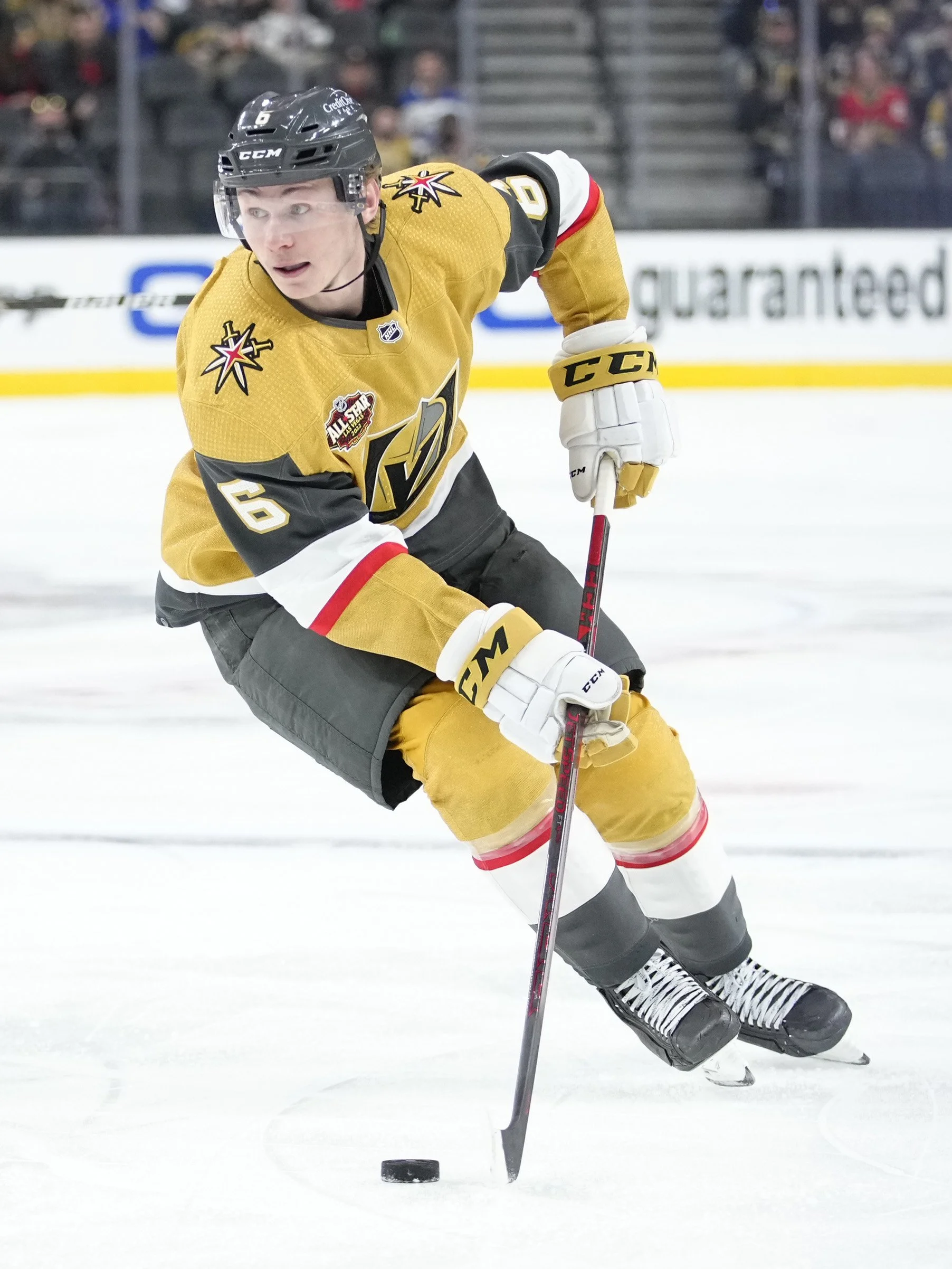 New Face in the Fortress🤩