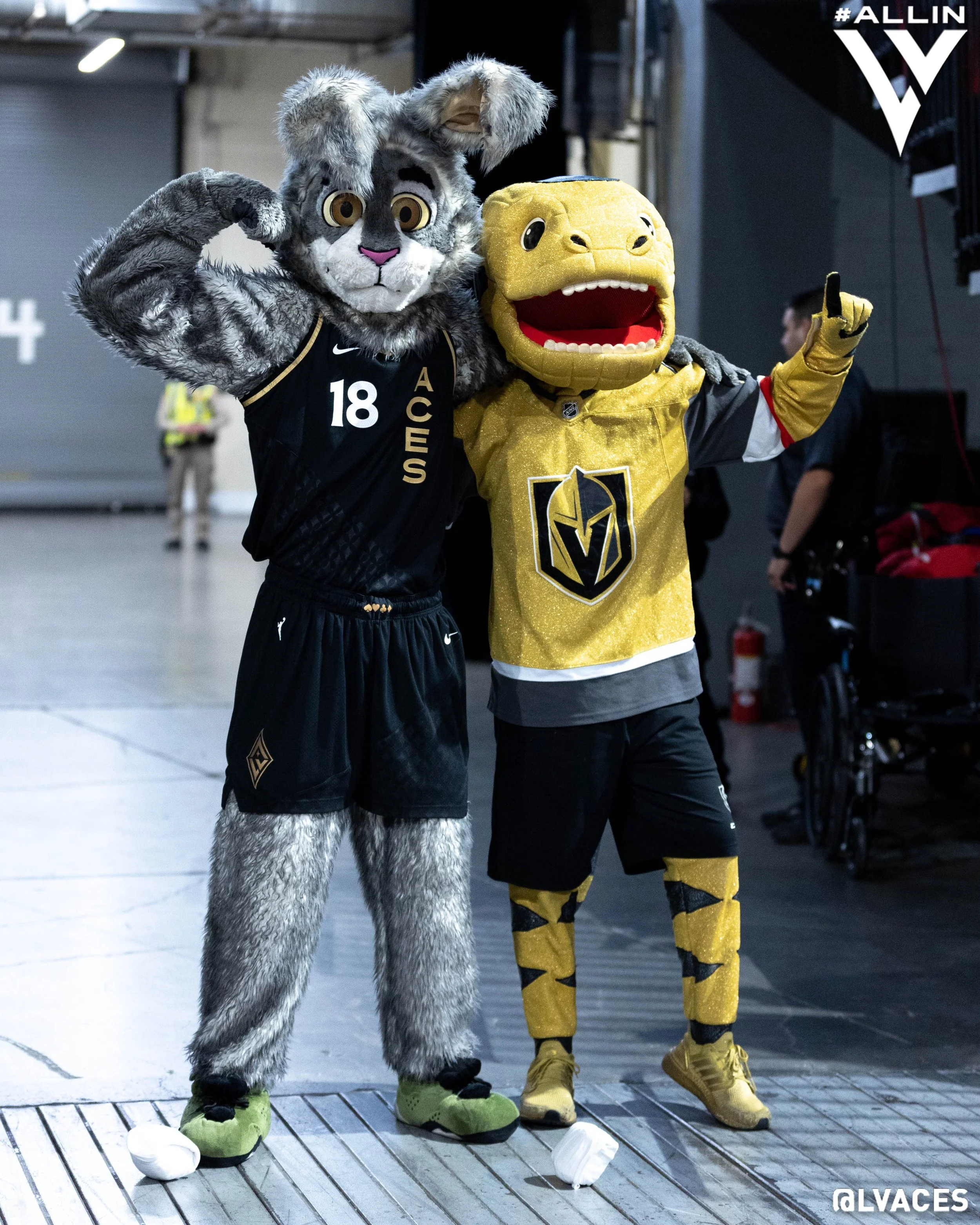 VGK Supports the LV Aces ⛹️♀️