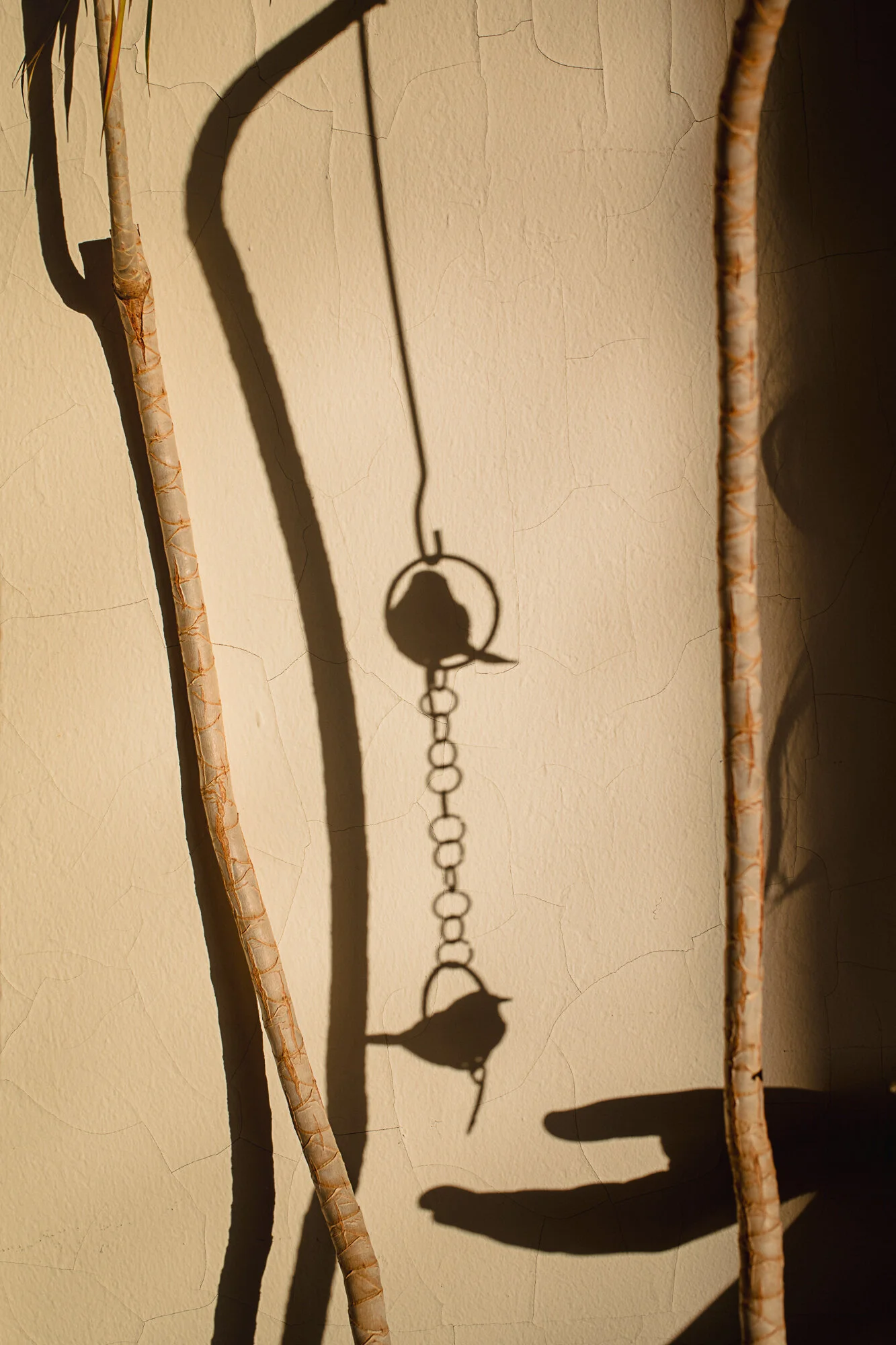 An Unconventional Photography Workshop, student work