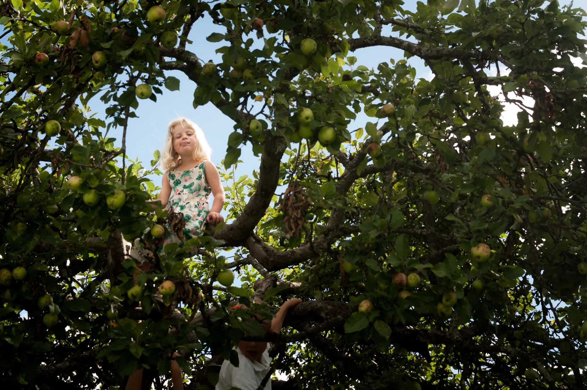  Family, photography, sessions, ottawa, oslo, portrait, holiday, family photography, best, unique, everyday, day in the life, slice of life, motherhood, mom, mother, dad, father, home, photo, award winning, yourself, editorial, commercial, photograph