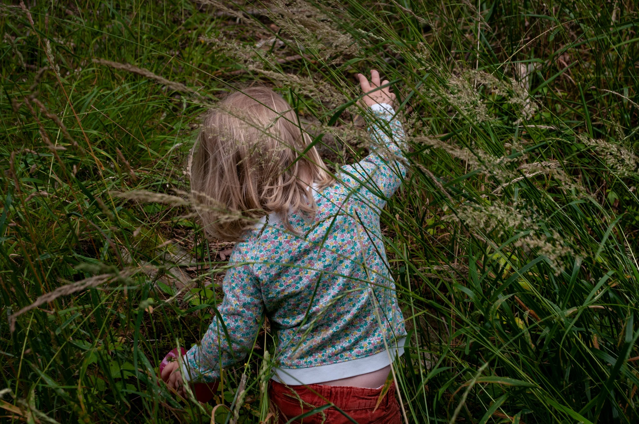  The Grass Is GreenerÉShe sees an ocean of tall grass to wade through. I see Lyme decease. Copyright: Kristine Nyborg kristine@kristinenyborg.com 