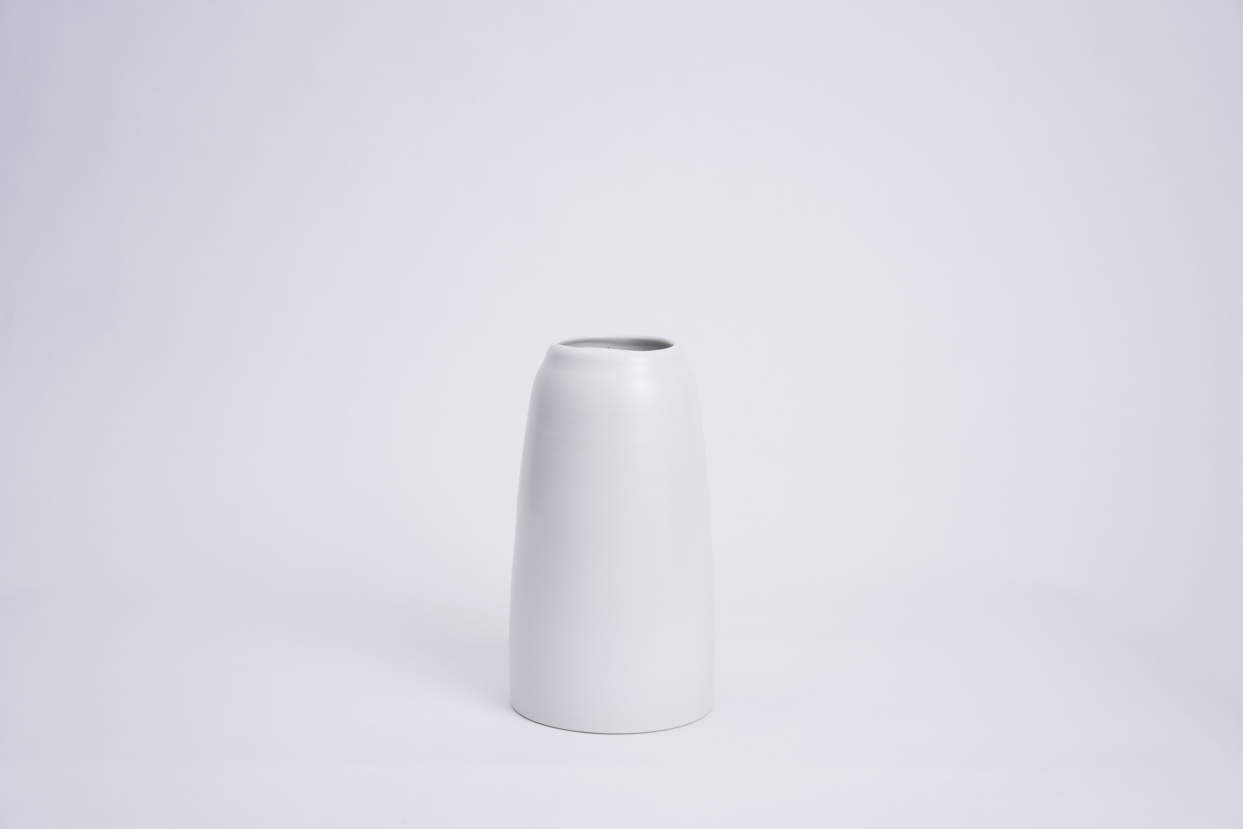 anemone oleander.JPG