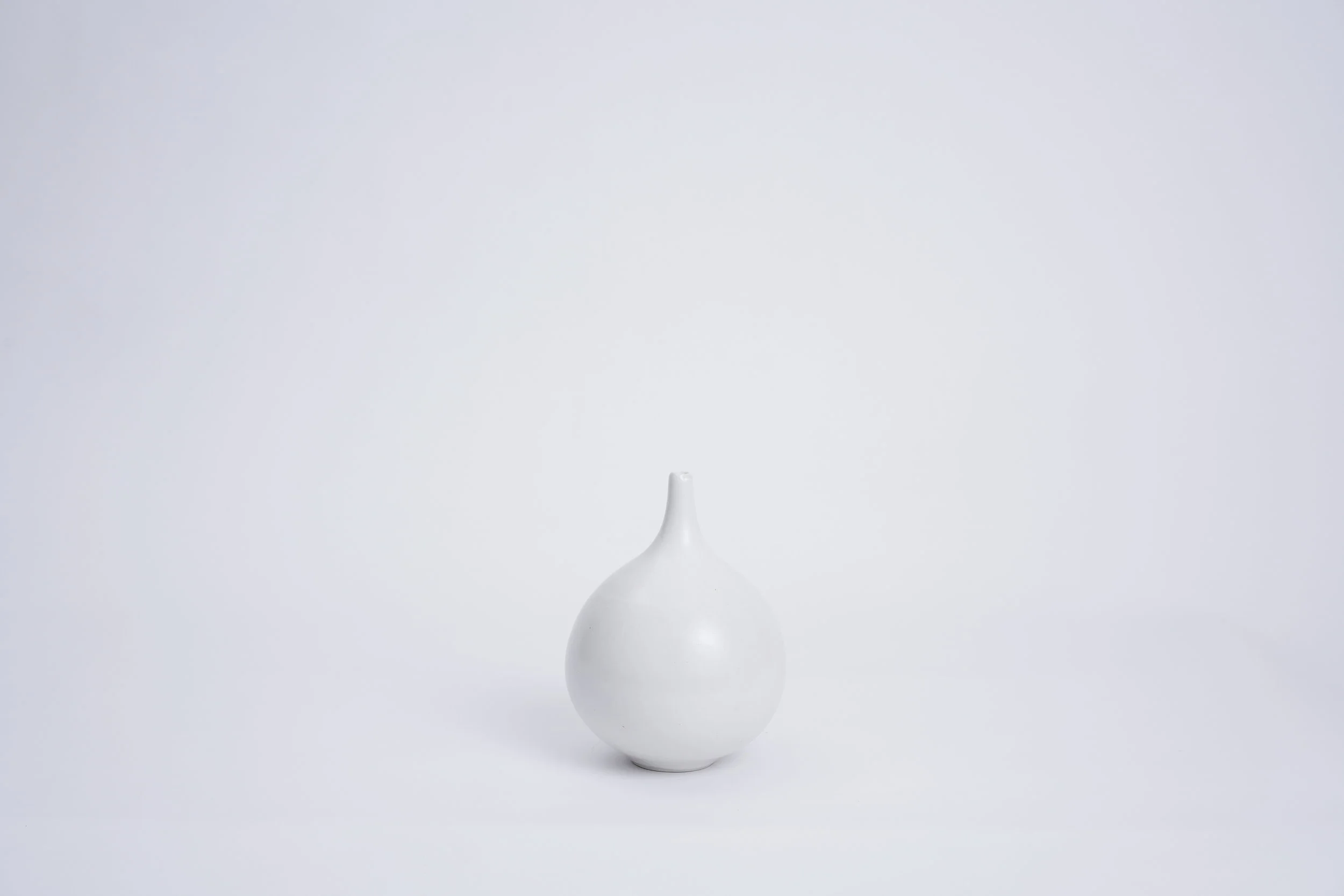 bud vase no 2 oleander.JPG