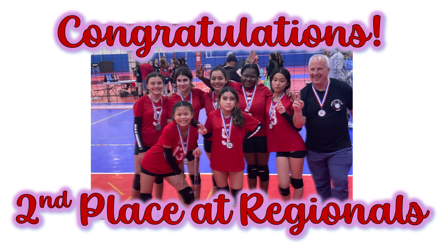 Gallery — Bayside Volleyball Club