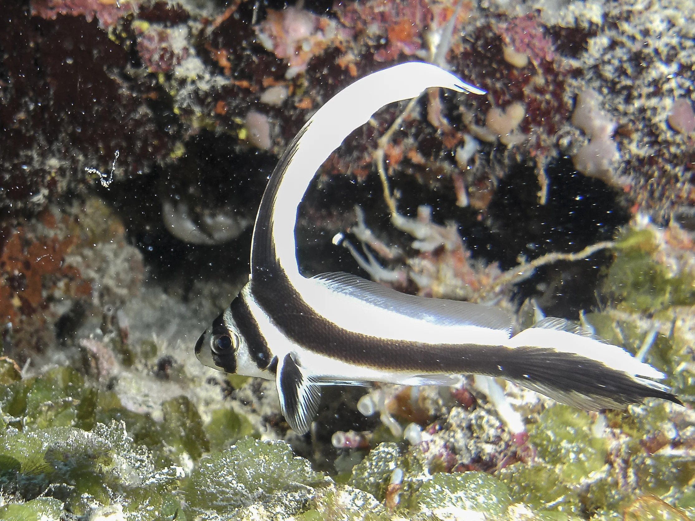 PICT0023.jpg