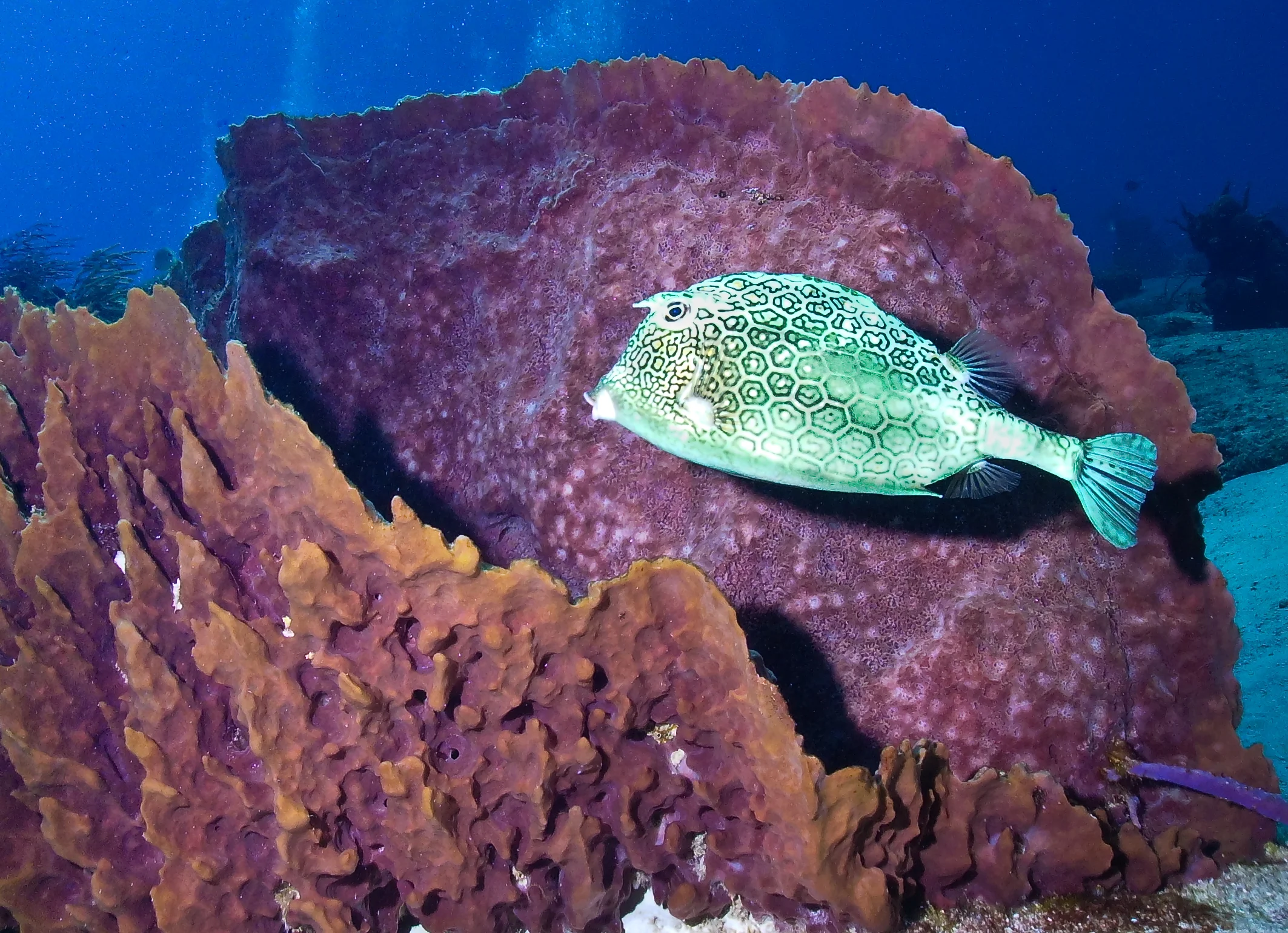 PICT0039.jpg
