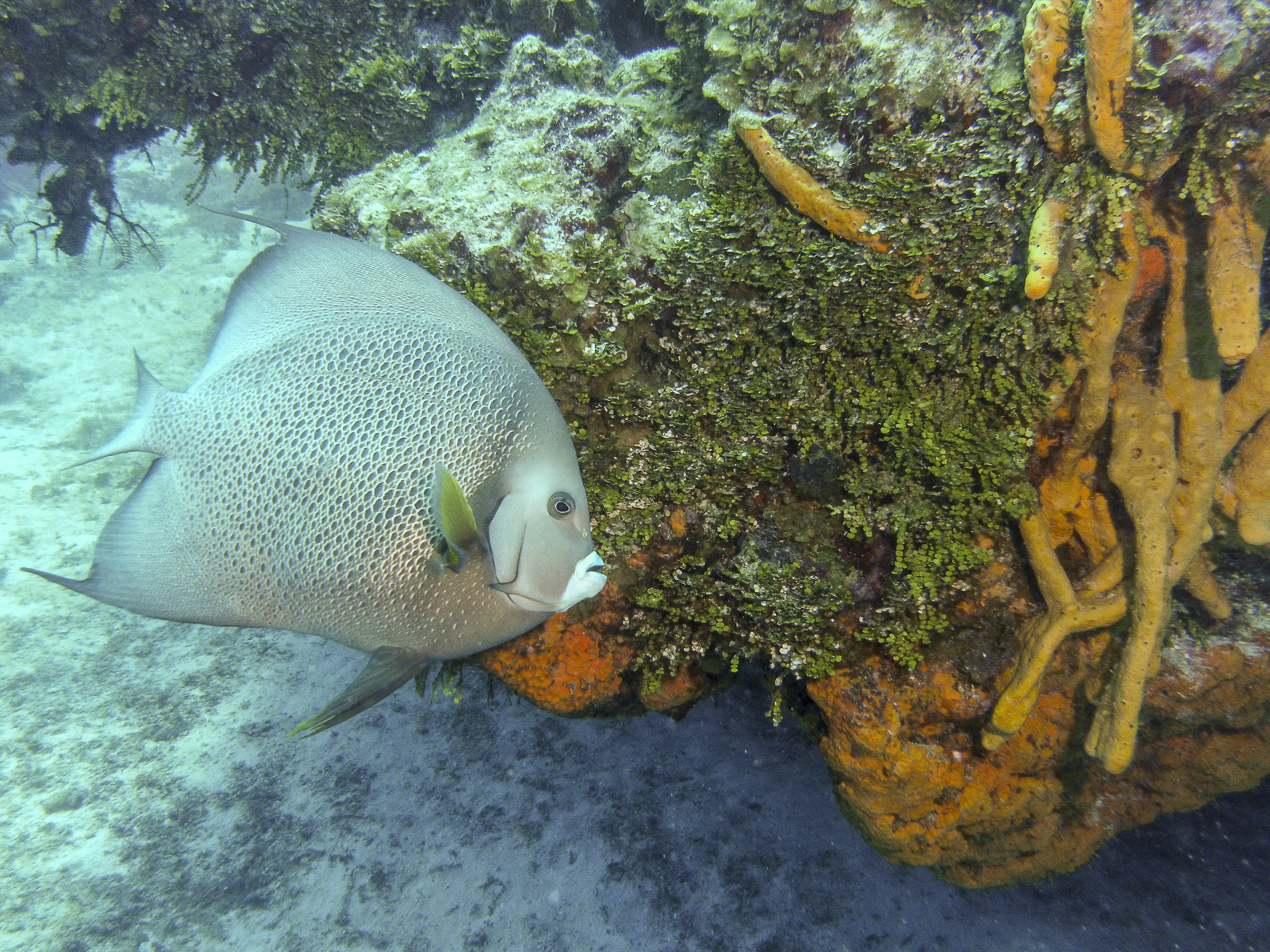PICT0090.jpg