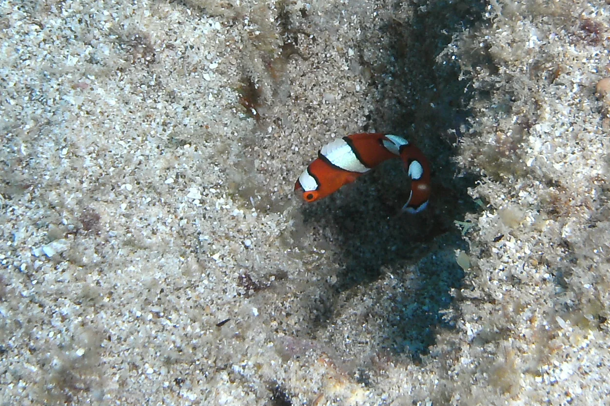 PICT0123_4x6.jpg