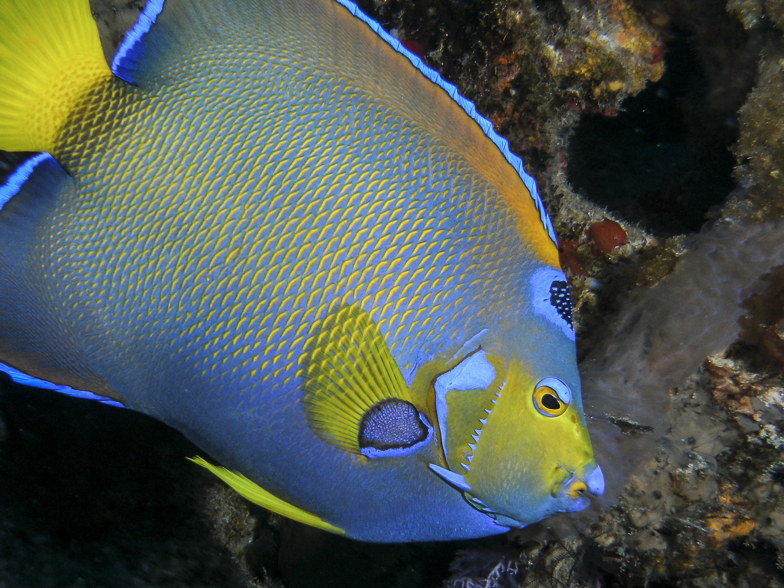 PICT0209.jpg