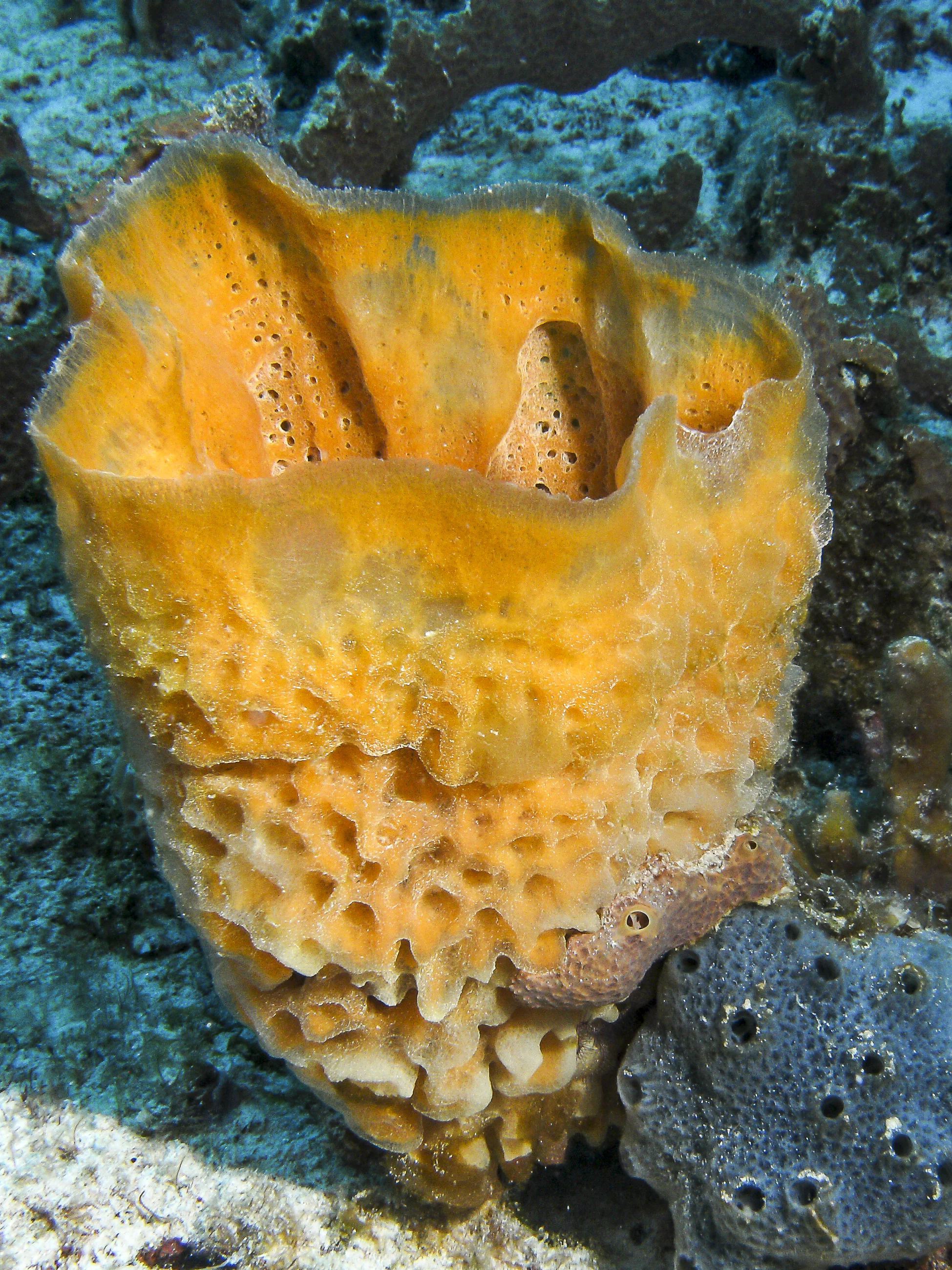 PICT0248.jpg