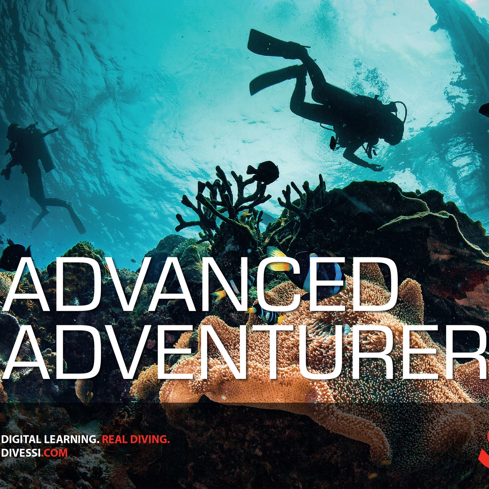 Advanced Adventurer Undersea Outfitters