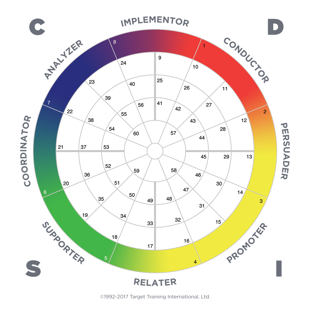 DISC Assessments — United Momentum