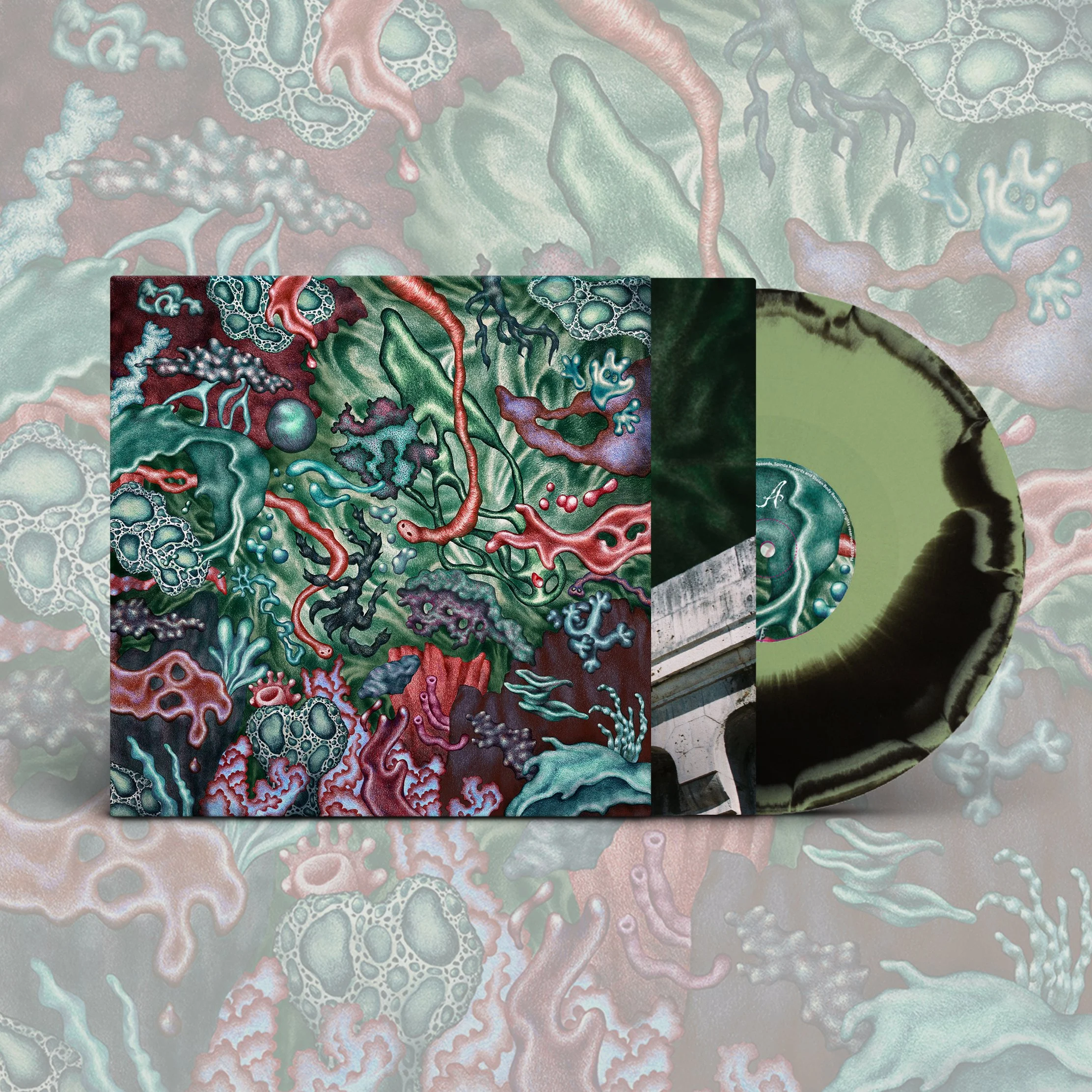 A:B Vinyl.jpg