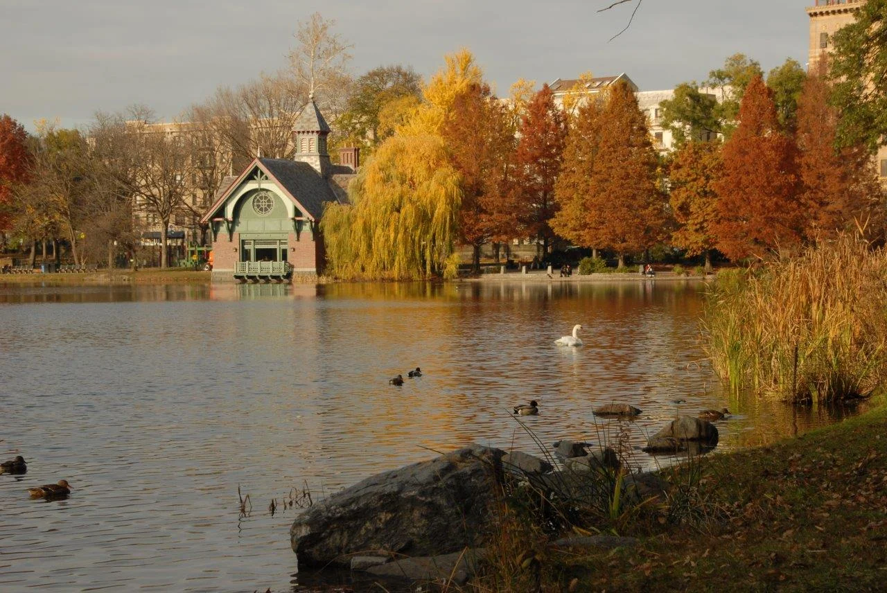 Central Park Dana Discovery Center