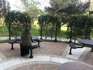 StudySpots3.jpg