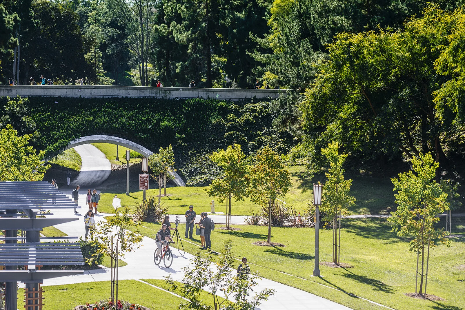 Tips for Gaining Professional Experience as an Undergrad